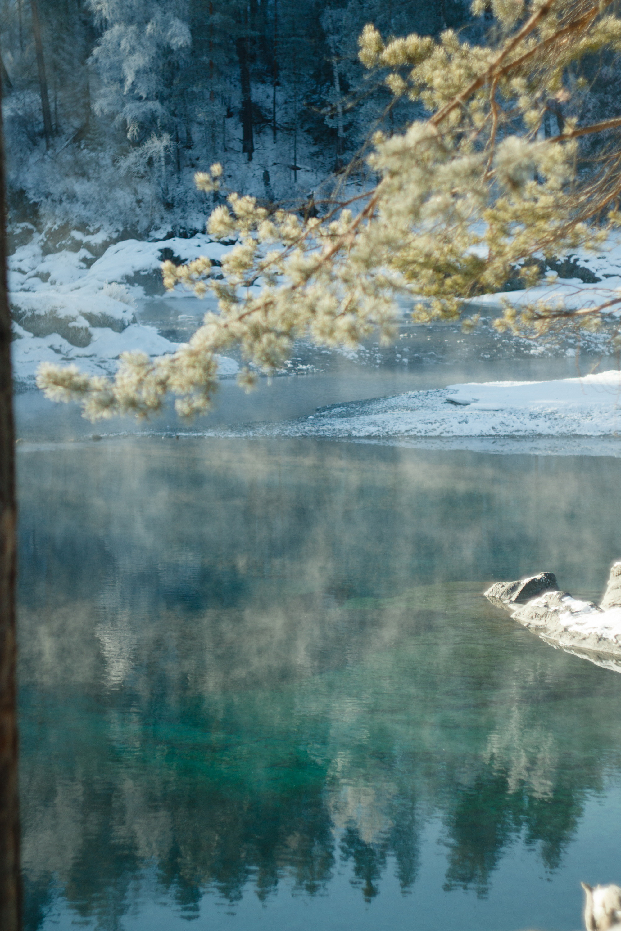 Мой Алтай. Фотограф Кирилл Мешков Кемерово