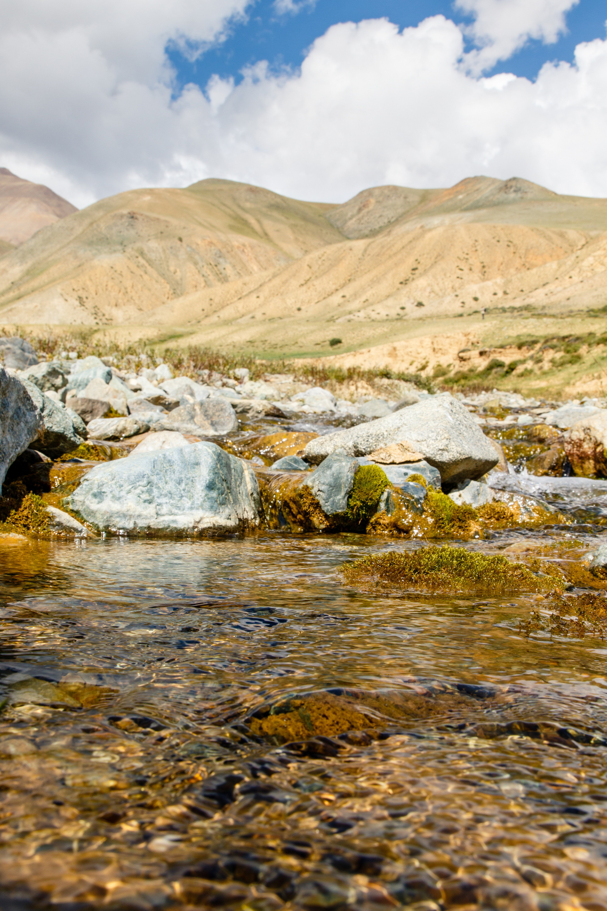 Мой Алтай. Фотограф Кирилл Мешков Кемерово