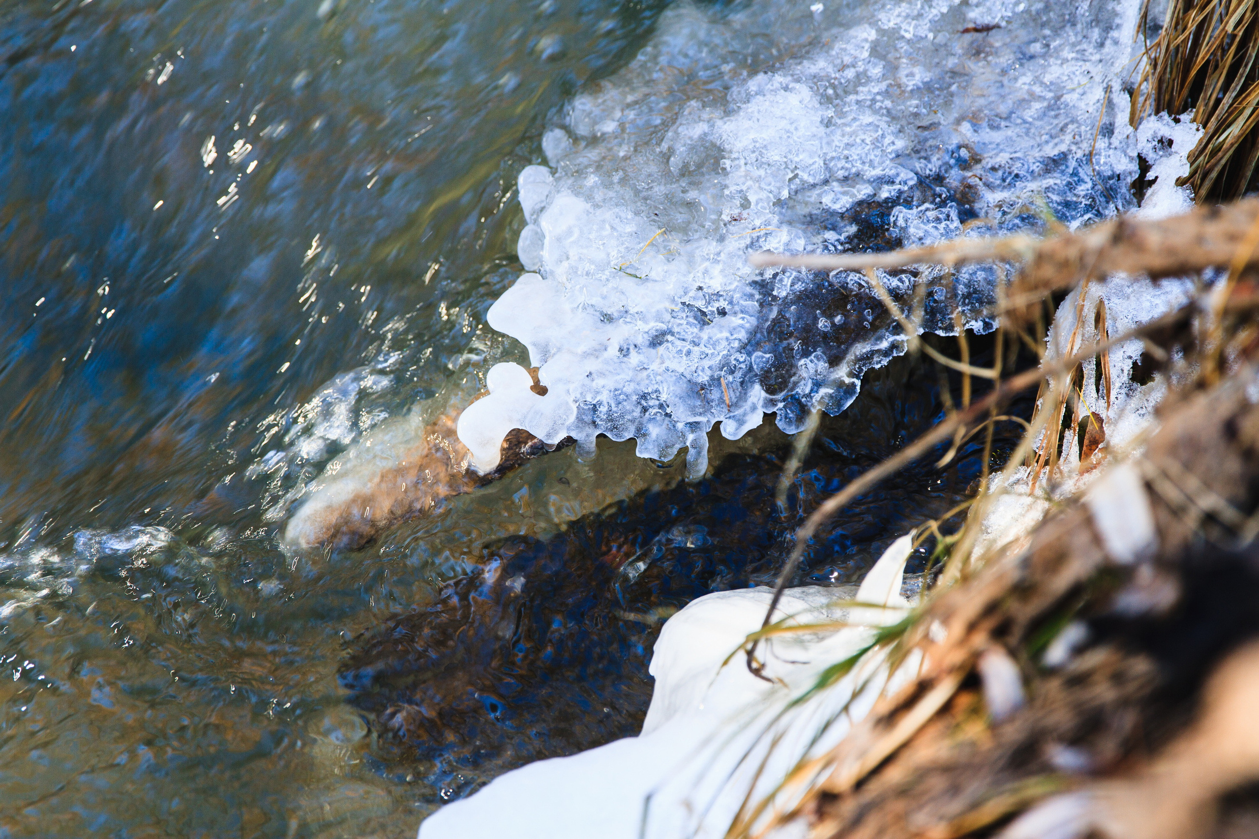 Мой Алтай. Фотограф Кирилл Мешков Кемерово