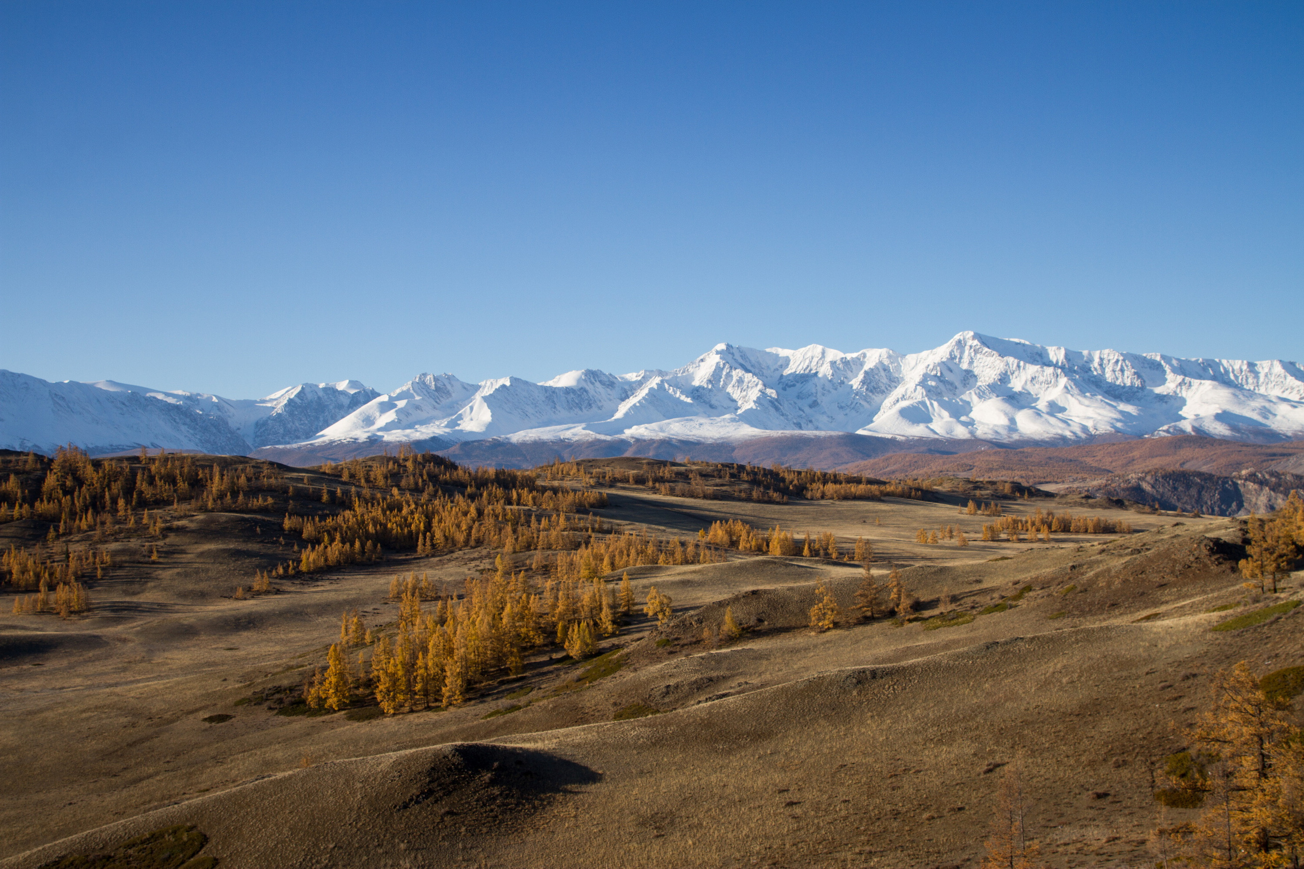 Мой Алтай. Фотограф Кирилл Мешков Кемерово