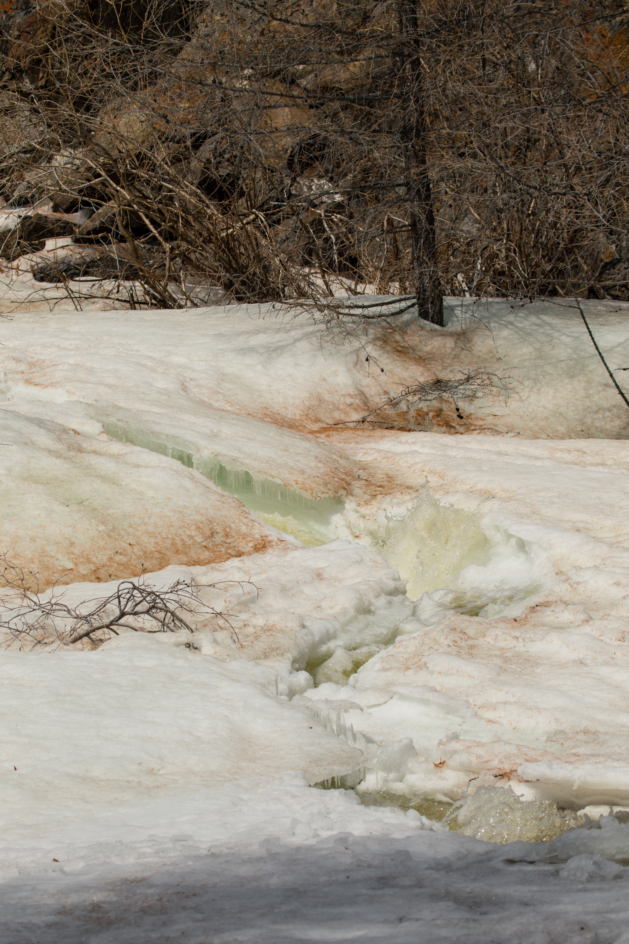 Мой Алтай. Фотограф Кирилл Мешков Кемерово