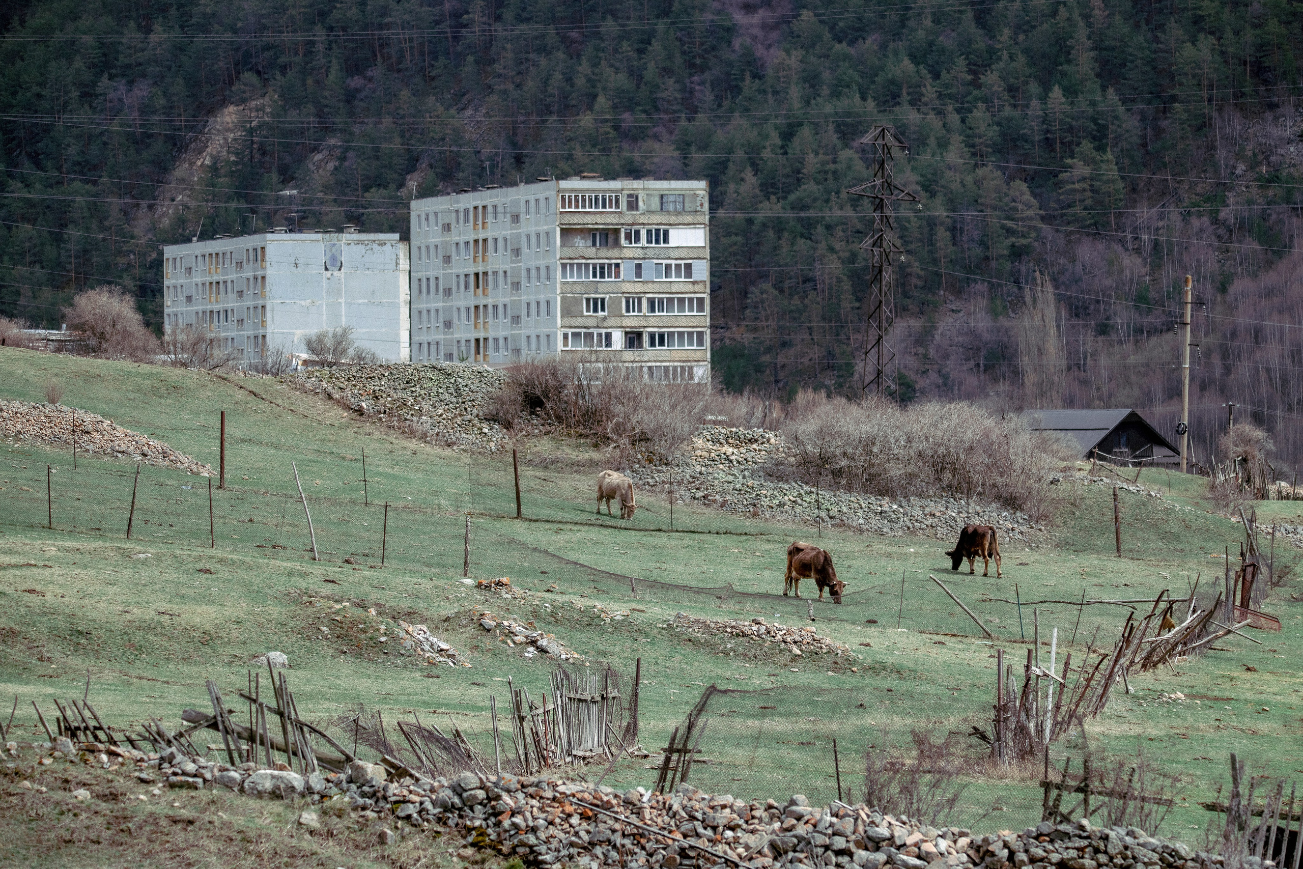 Цветные фотографии. Фотографии Лены Соколовой