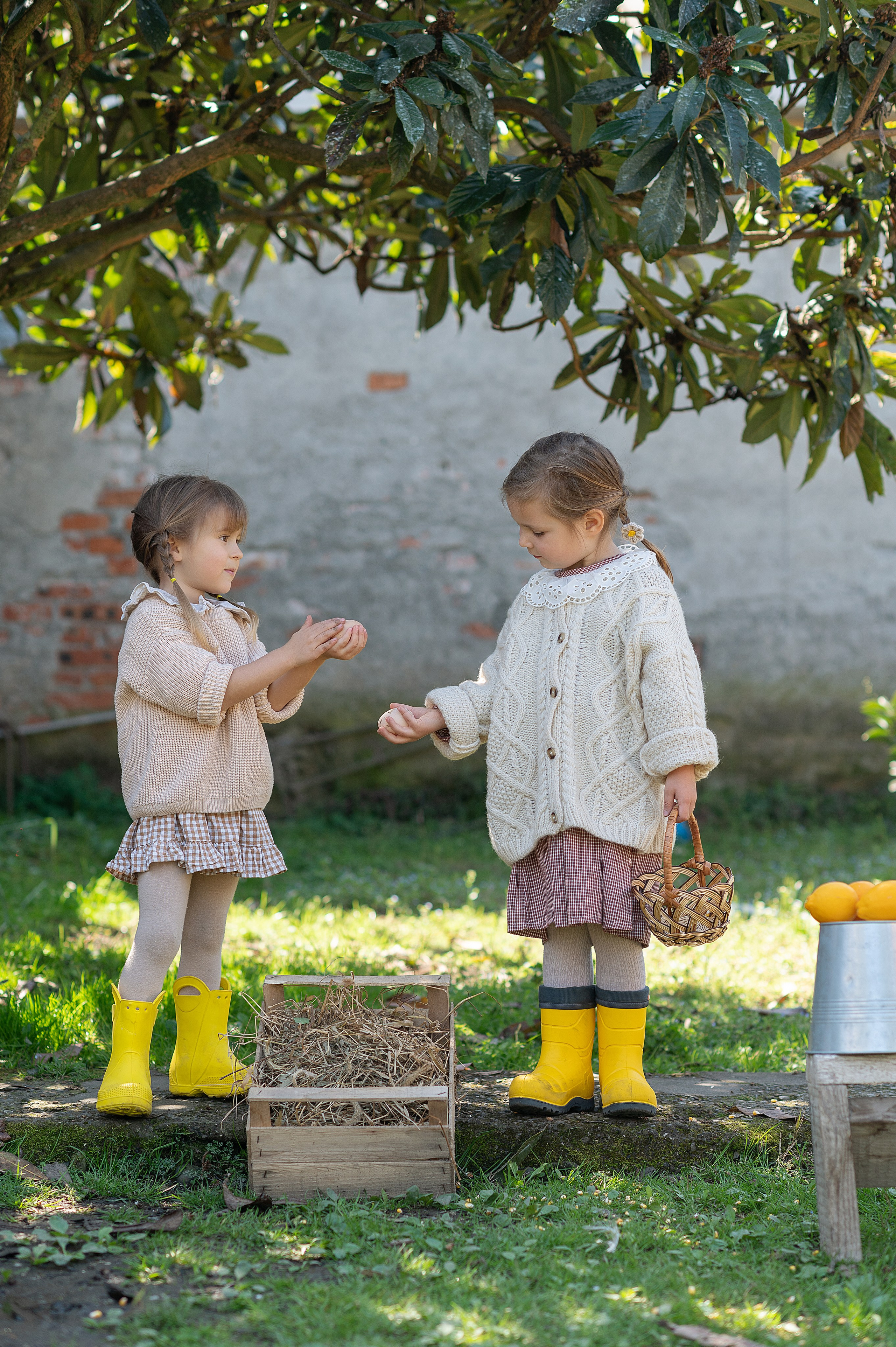 Курочки. Детский фотограф Абхазия