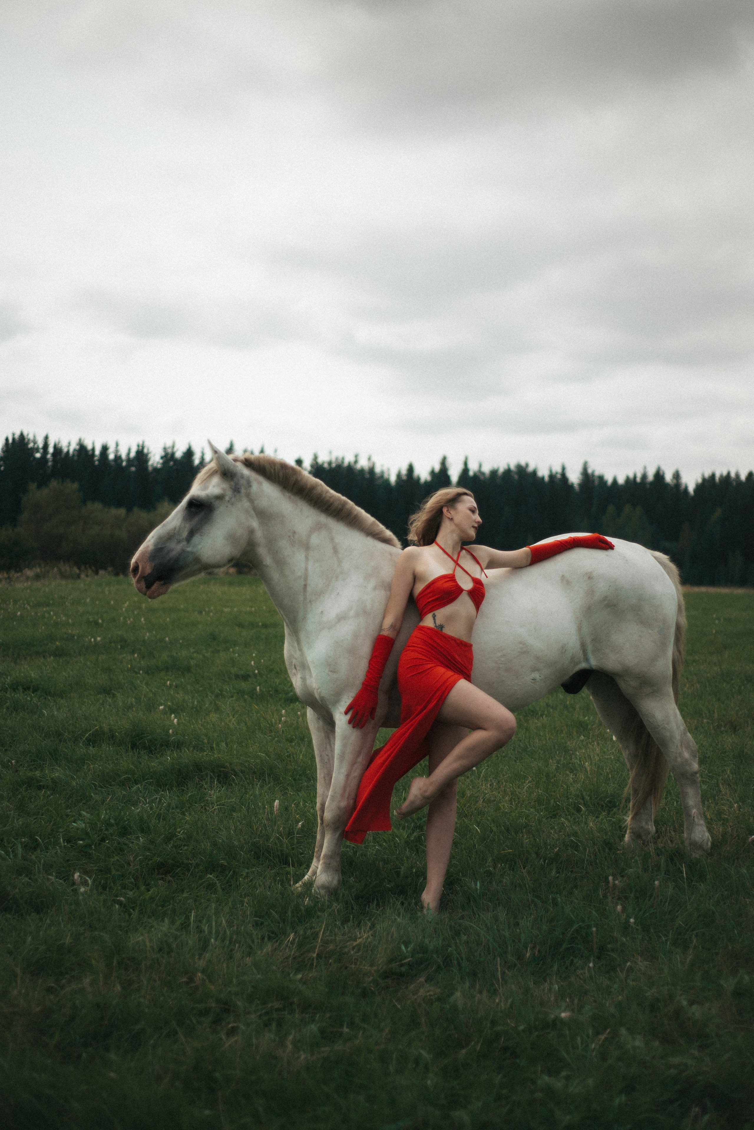 Horse. Фотограф