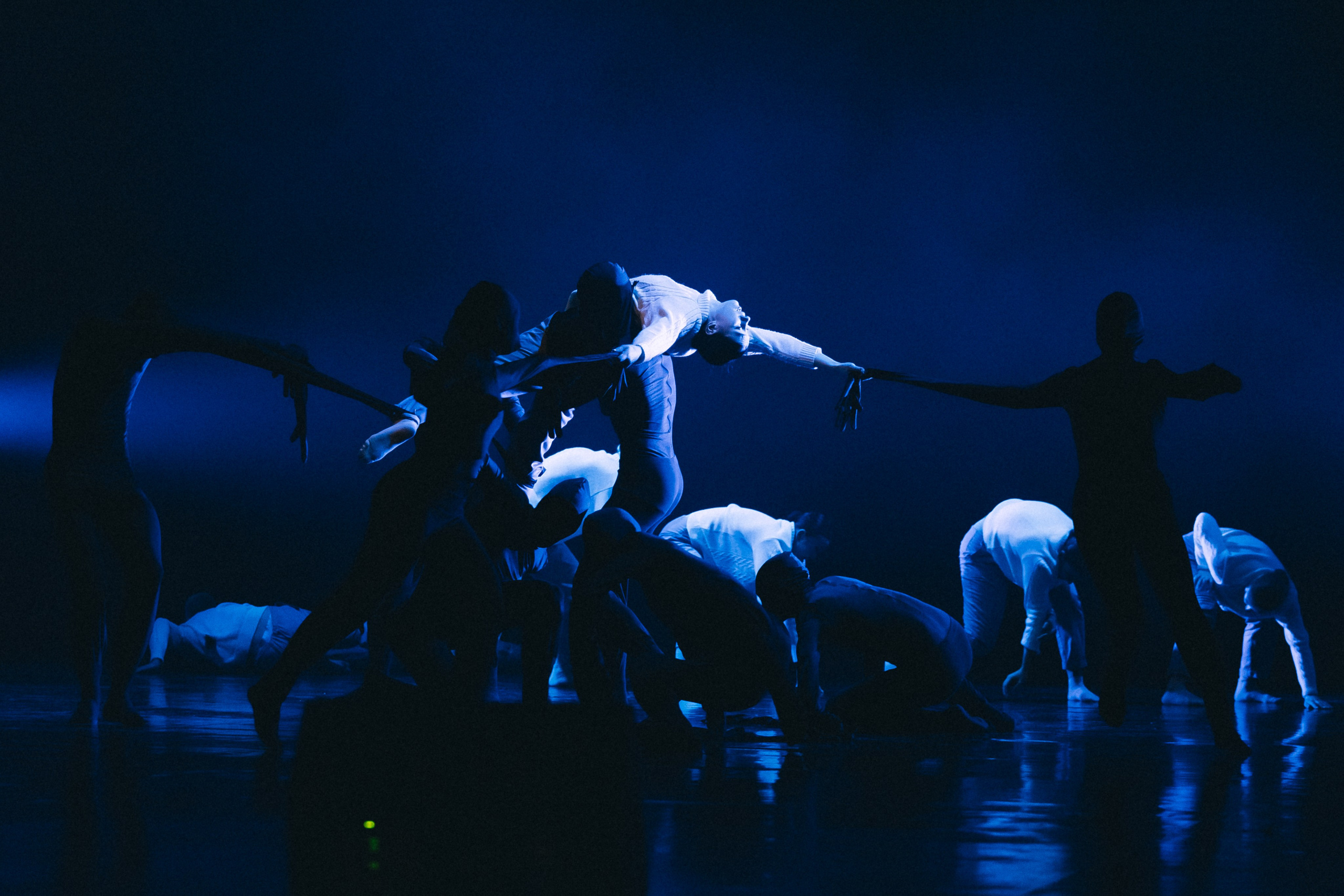 Отчётный концерт (КемГИК). Фотограф Кемерово | Сергей
