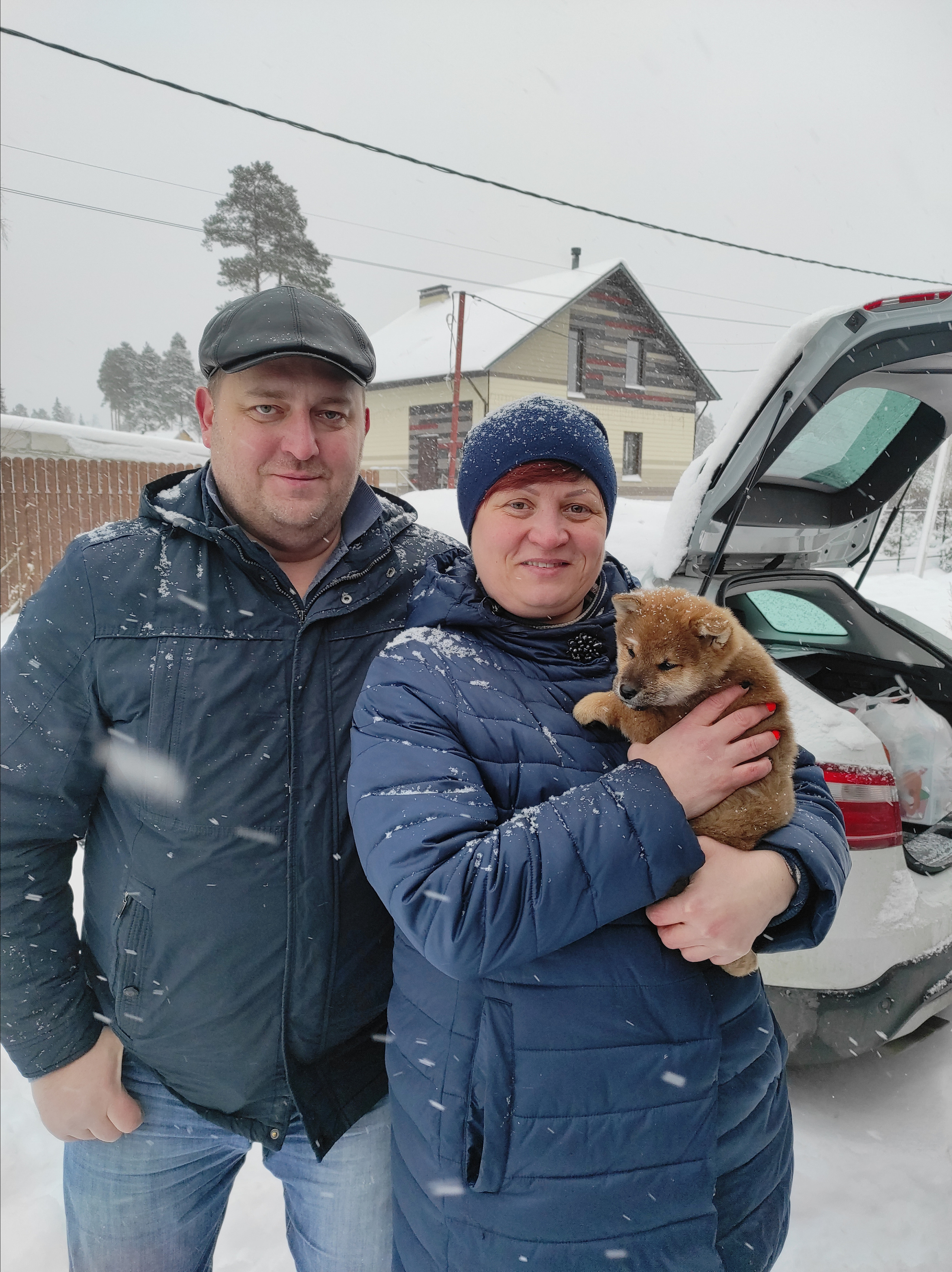 Сиба питомник RUBYLIGHT. Американская акита I Сиба ину I Питомник RUBYLIGHT