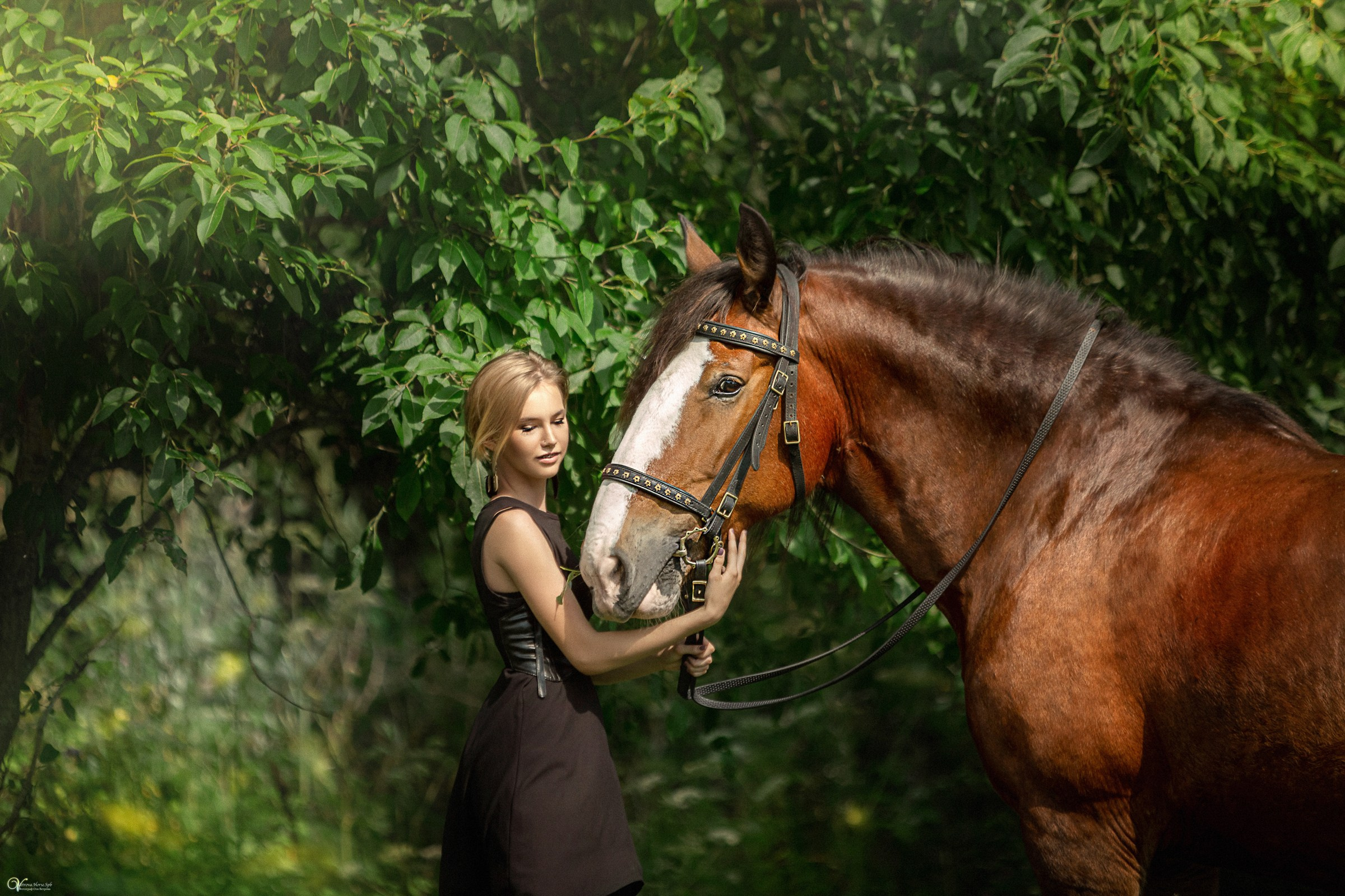 Фотосессии с лошадьми летом. Фотограф женский и мужской портрет Санкт-Петербург