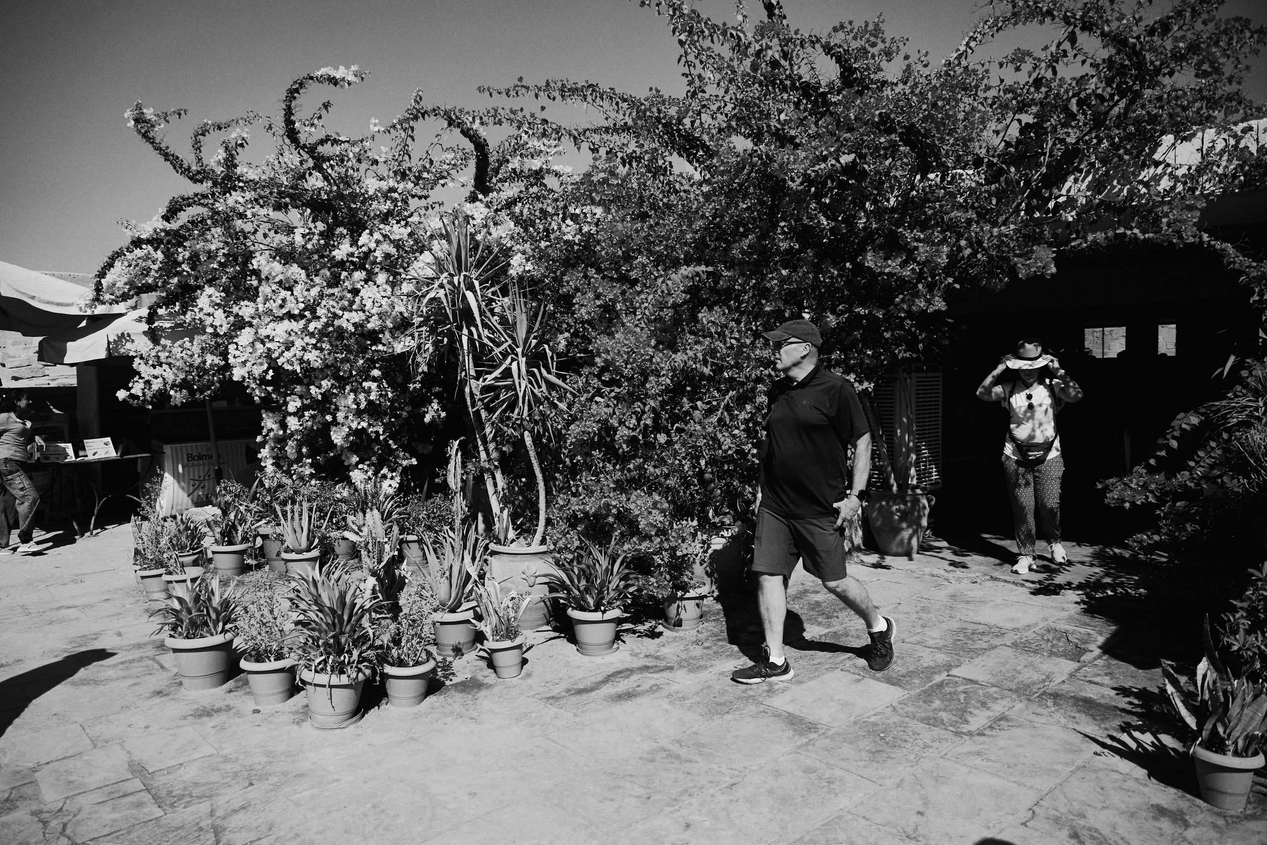 Другое 4. Jorgis — фотограф в Хургаде / обучение фотографии