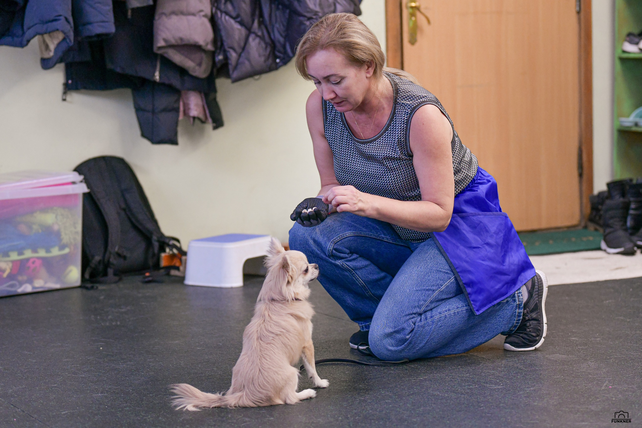 Кинологический клуб «Бодрый хвост». Свой взгляд через объектив