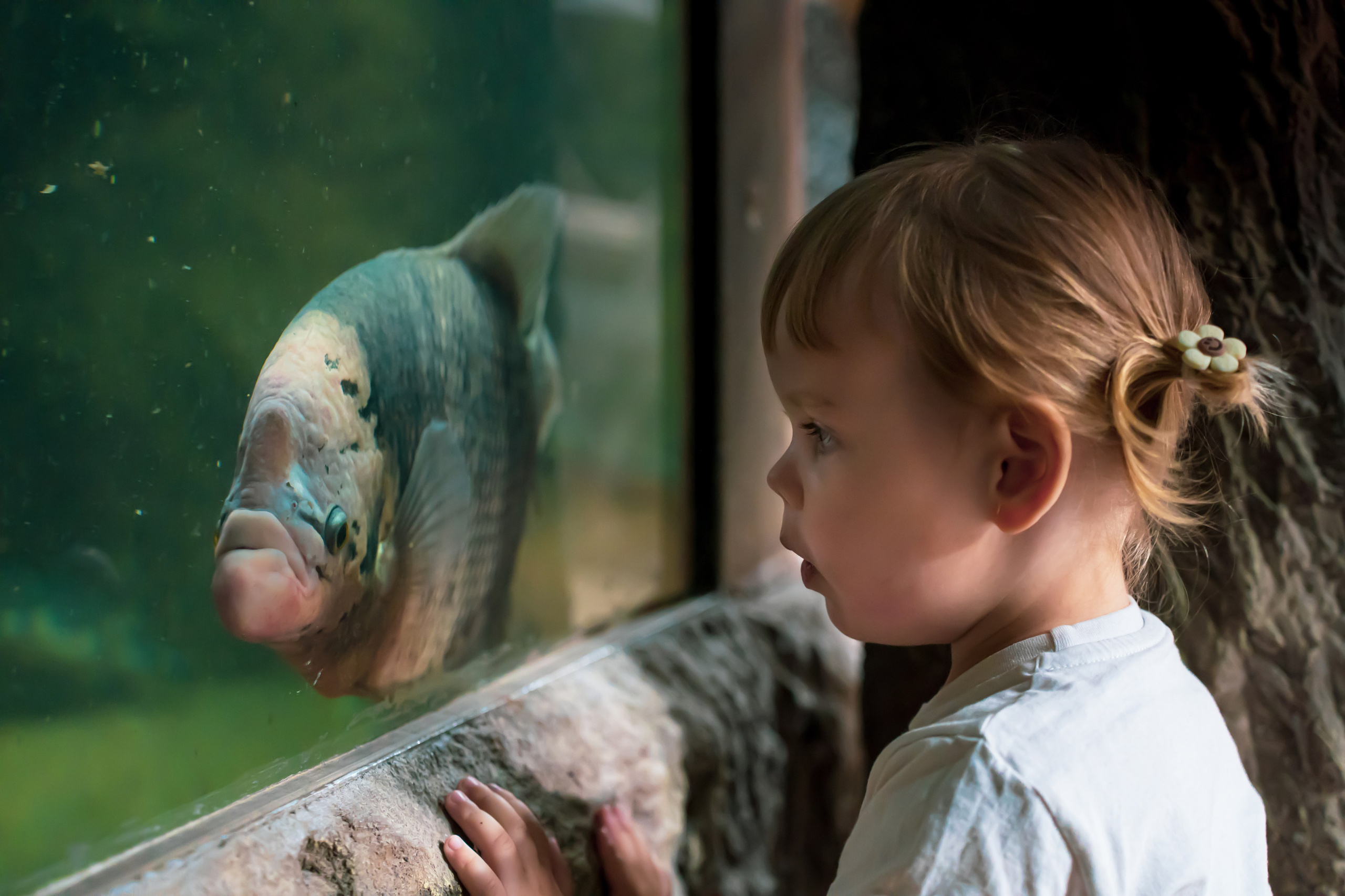 ALICE: BEAUTIFUL FACE ON THE WEEKEND. Фотограф и визуальный художник в Туле / Николай Рейзвих