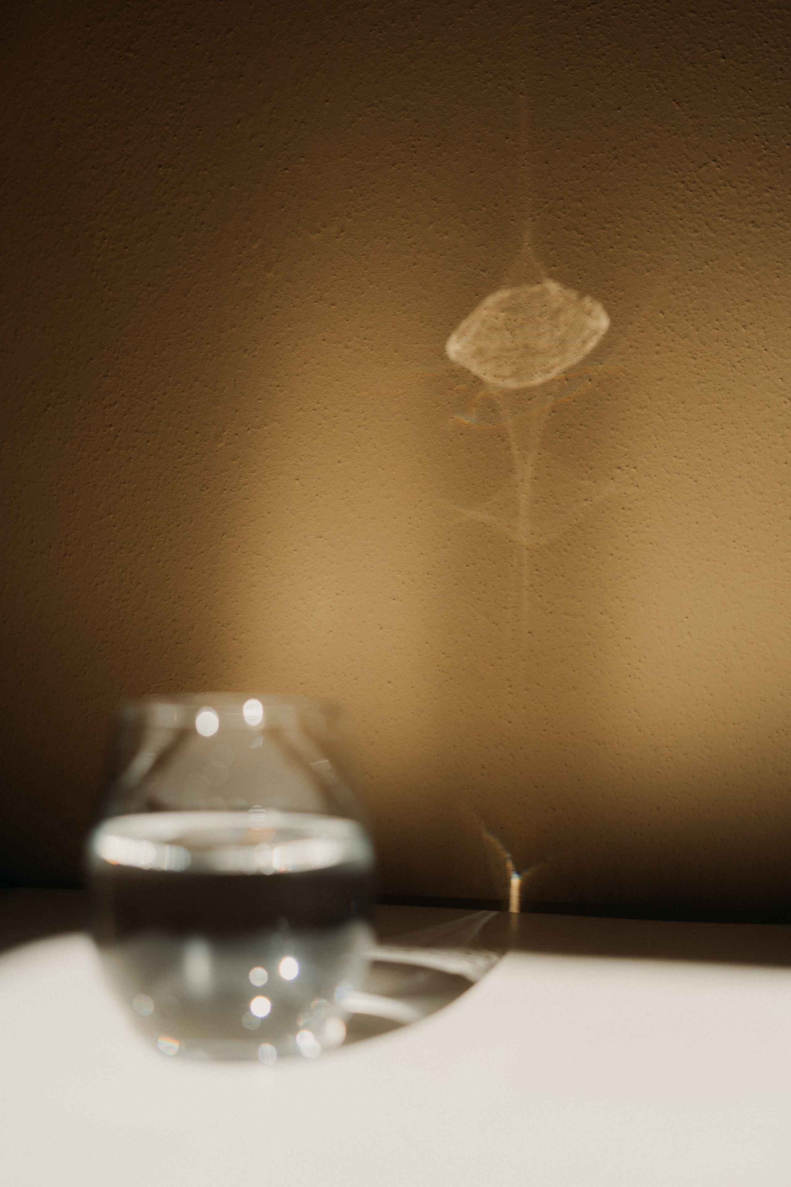 Palazzo Guiscardo | Pietrasanta