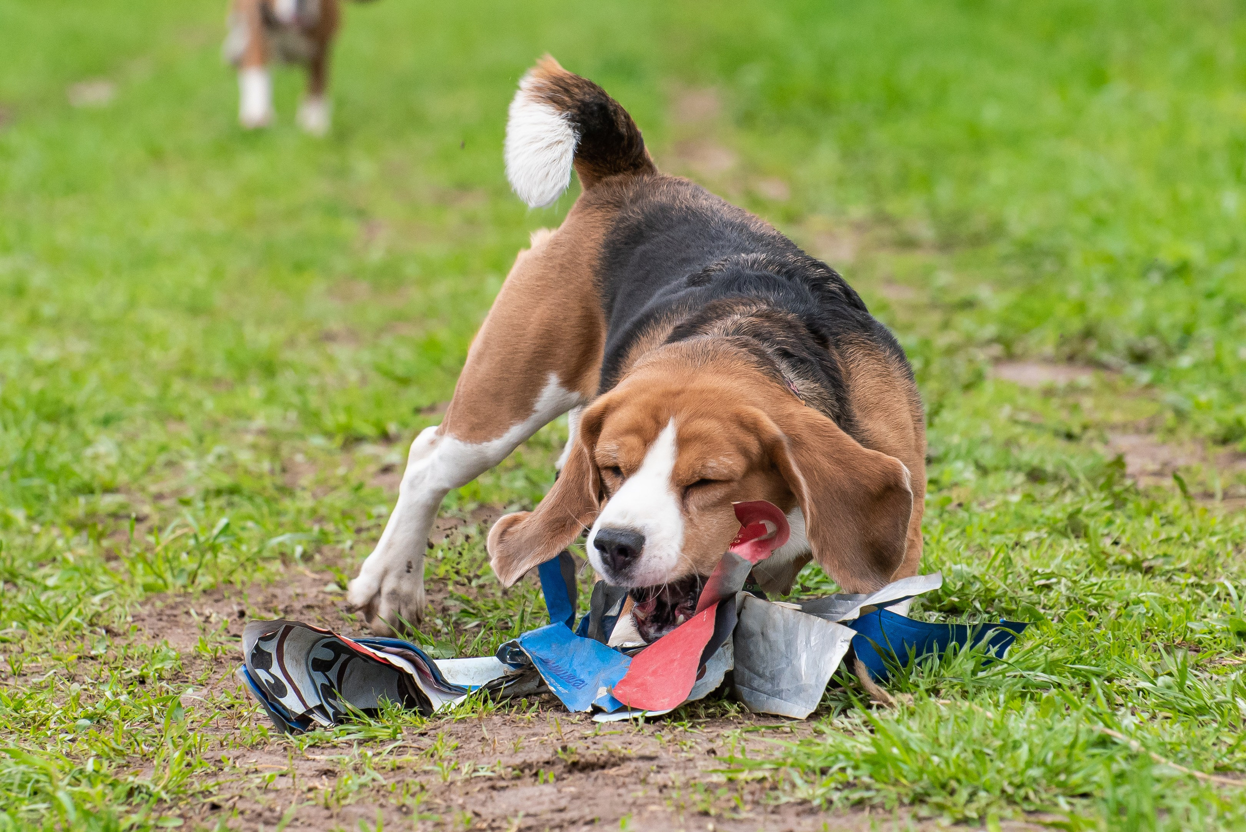 Фотографии с Курсинга. Фотограф Макс Огурцов в Нижнем Новгороде
