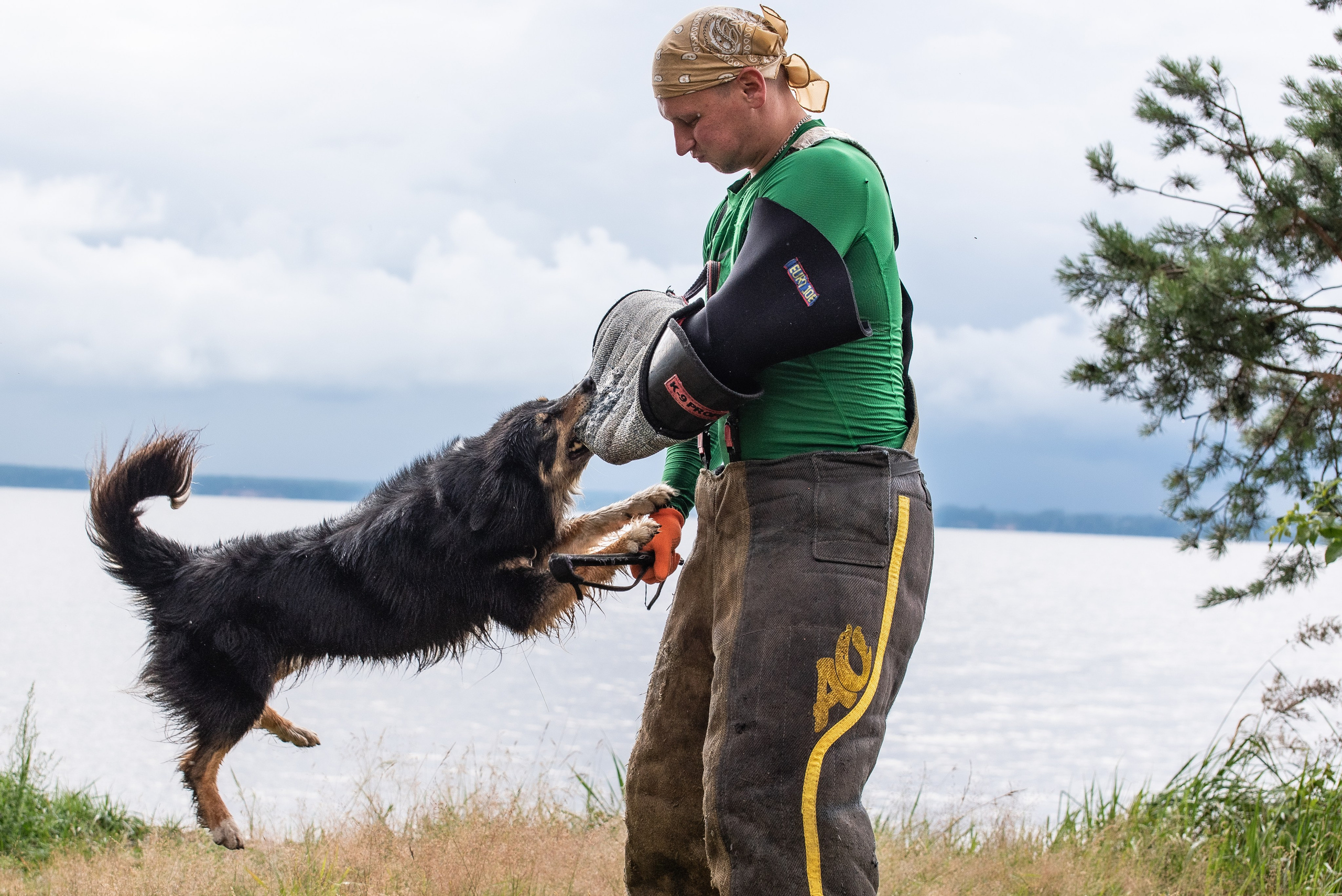 Всплеск эмоций 2023 Кинологический фестиваль. Фотограф Макс Огурцов в Нижнем Новгороде