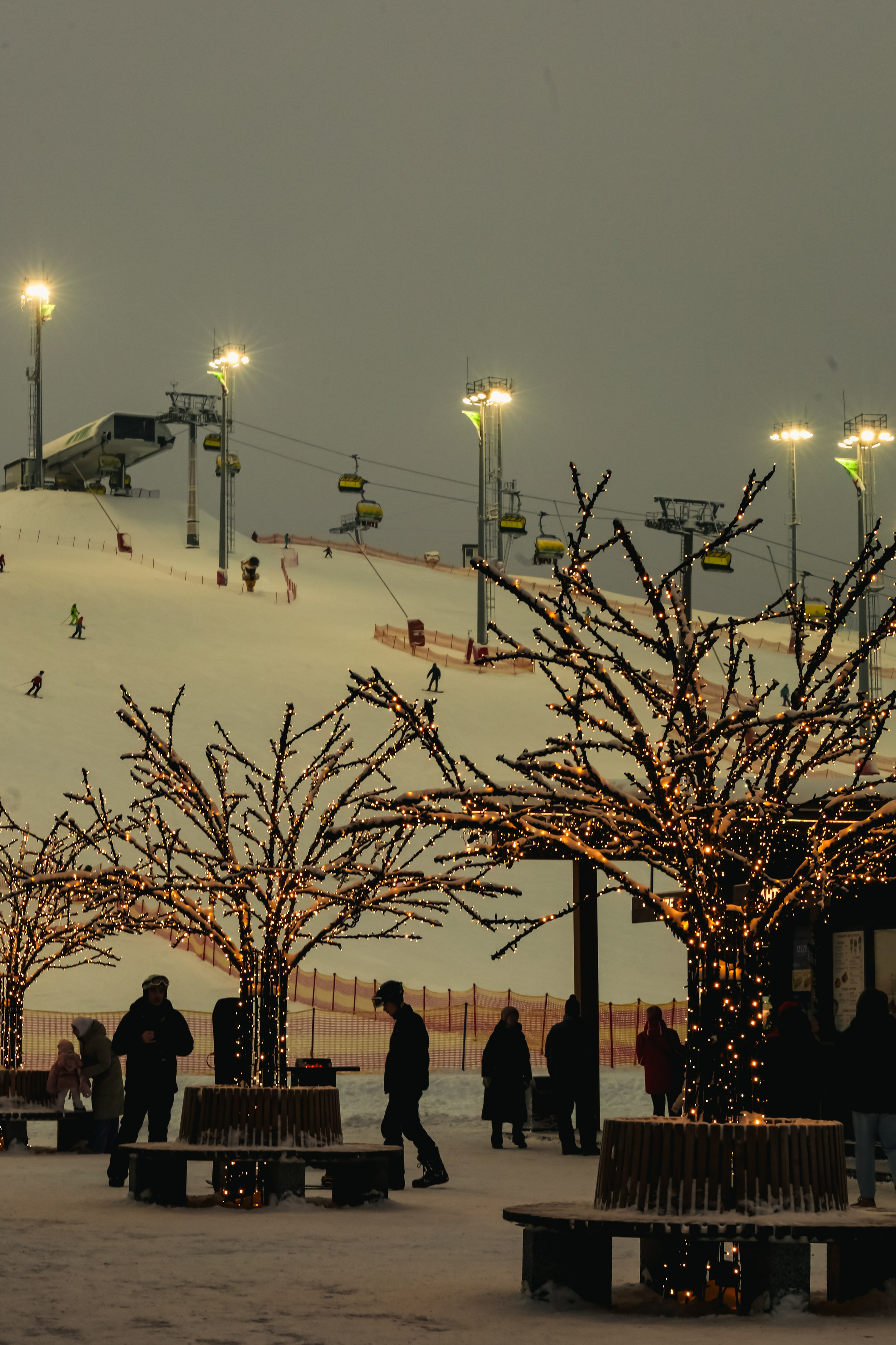 Природа &. Фотохудожник в СПб