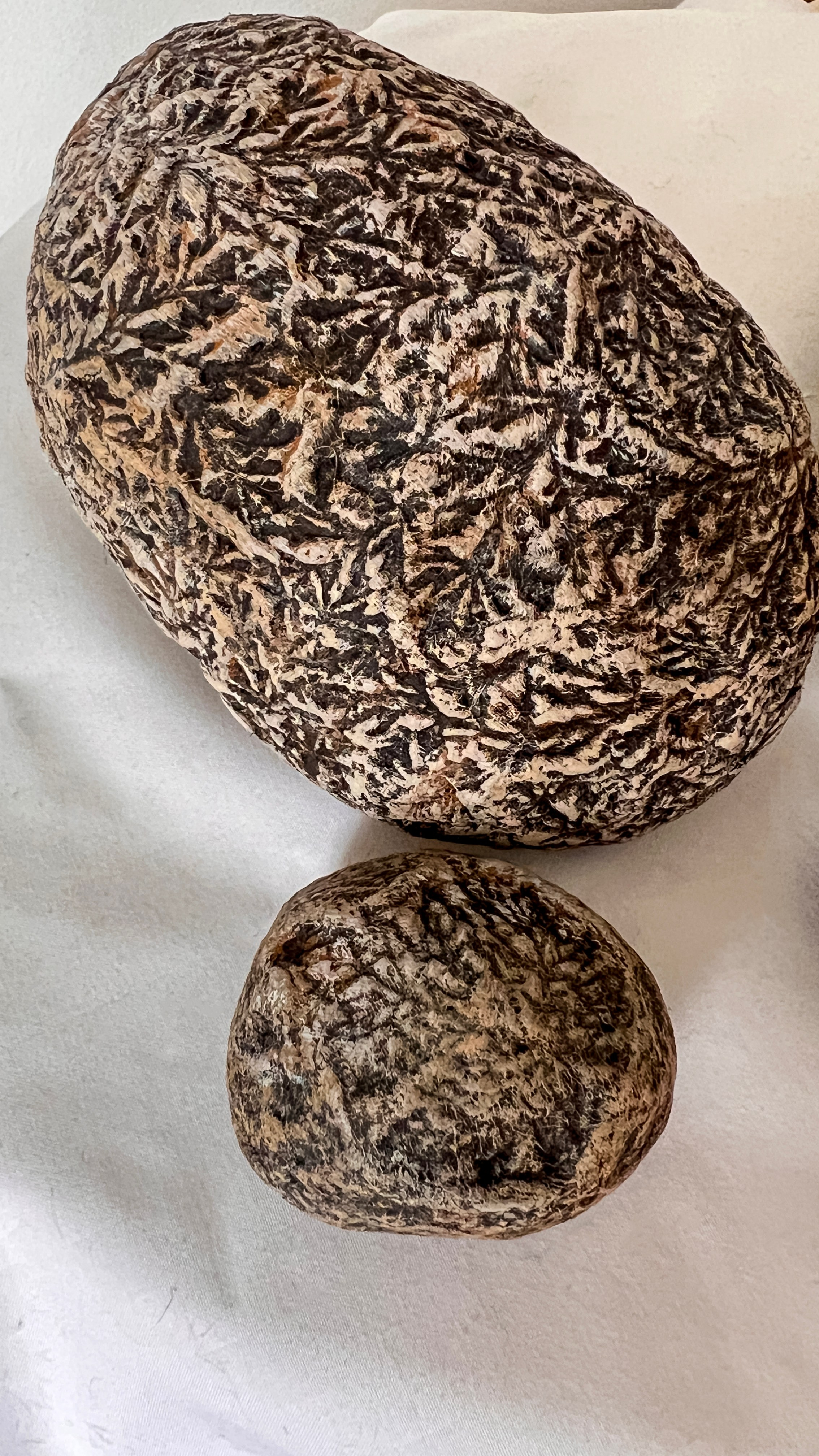 Terra Incognita. Неизвестная земля. Художник Екатерина Старовойтова