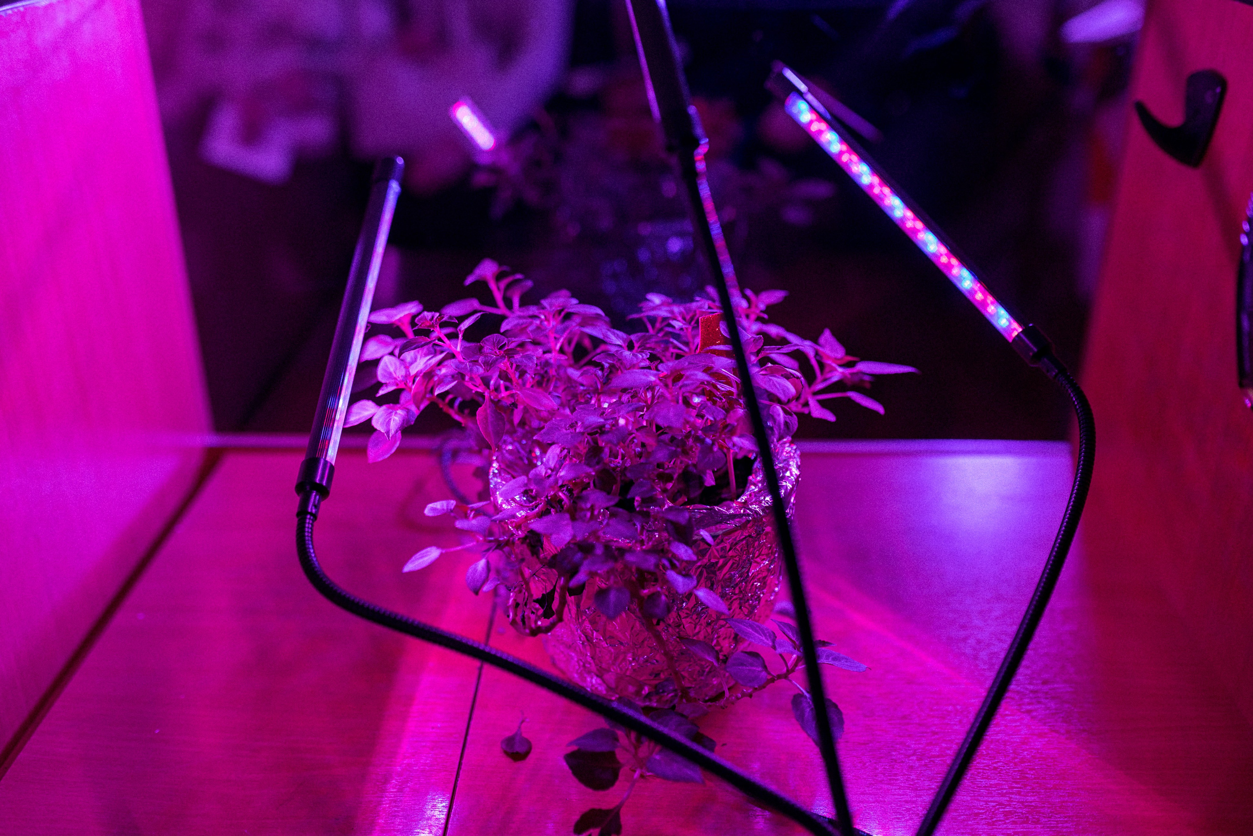 Институт летания в Выксе. Фотограф городских и семейных событий Артем Карпухин