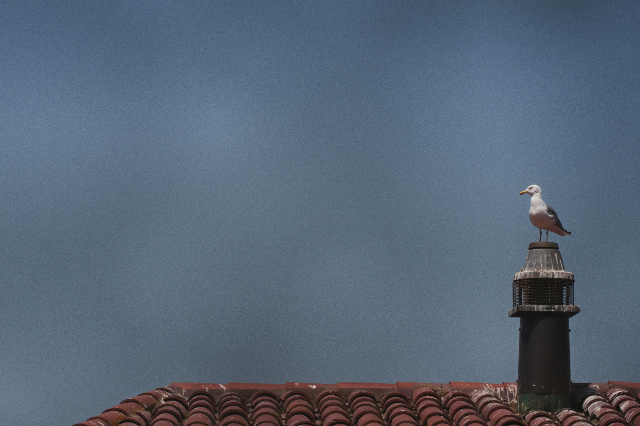 Büyükada х Heybeliada, Istanbul / Türkey SS25. Фотограф Юрин Евгений