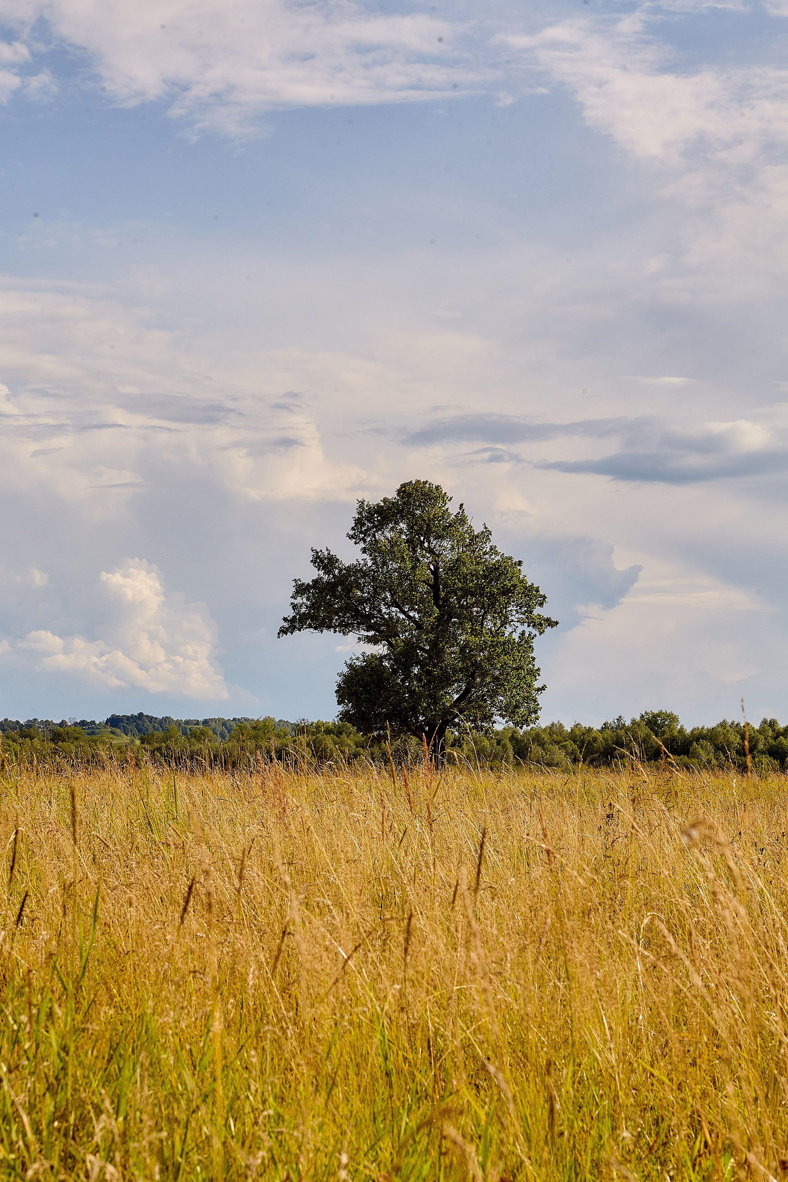 Фотографии природы