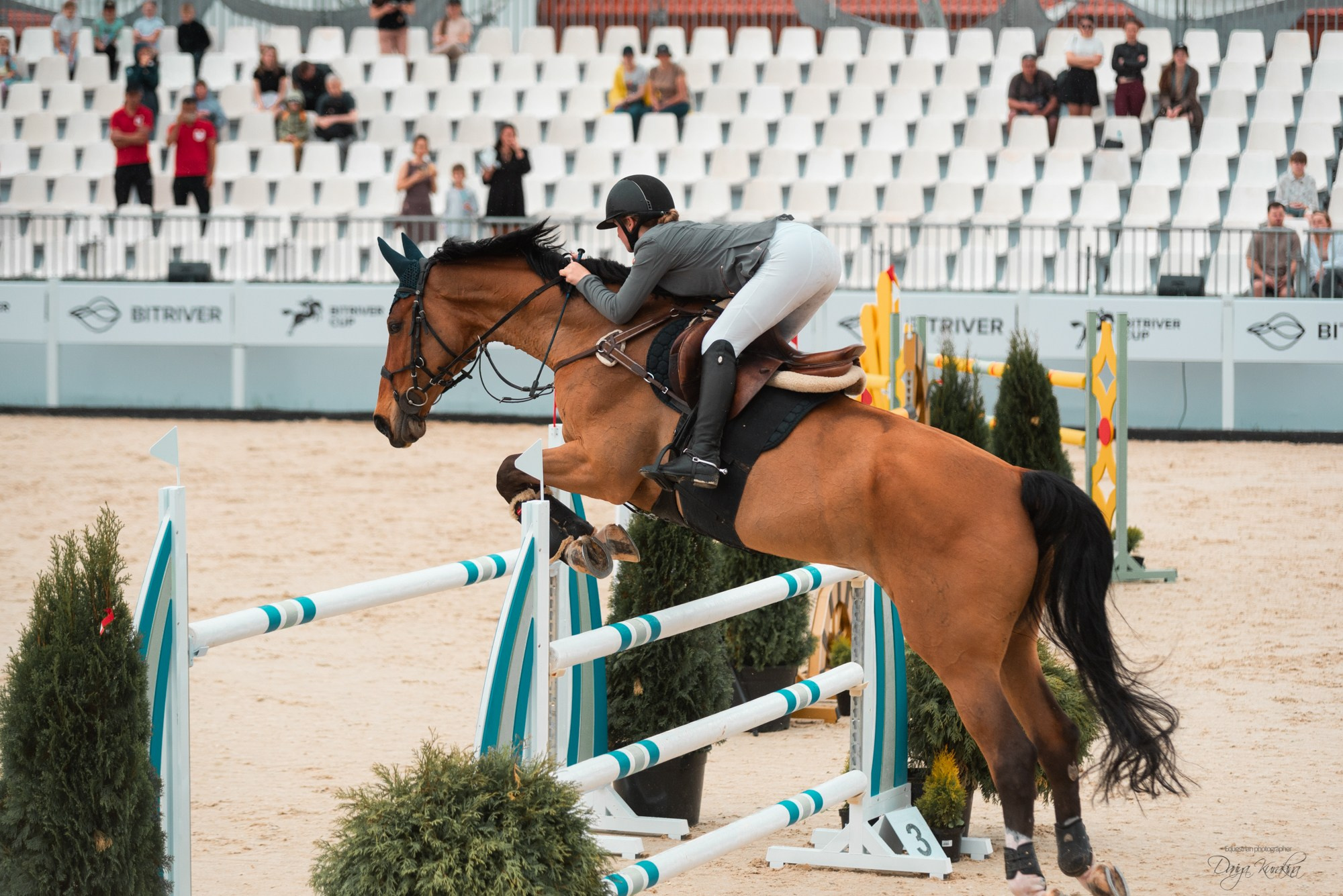 BITRIVER CUP 2023. Конный фотограф Куракина Дарья • Фотосессии с лошадьми