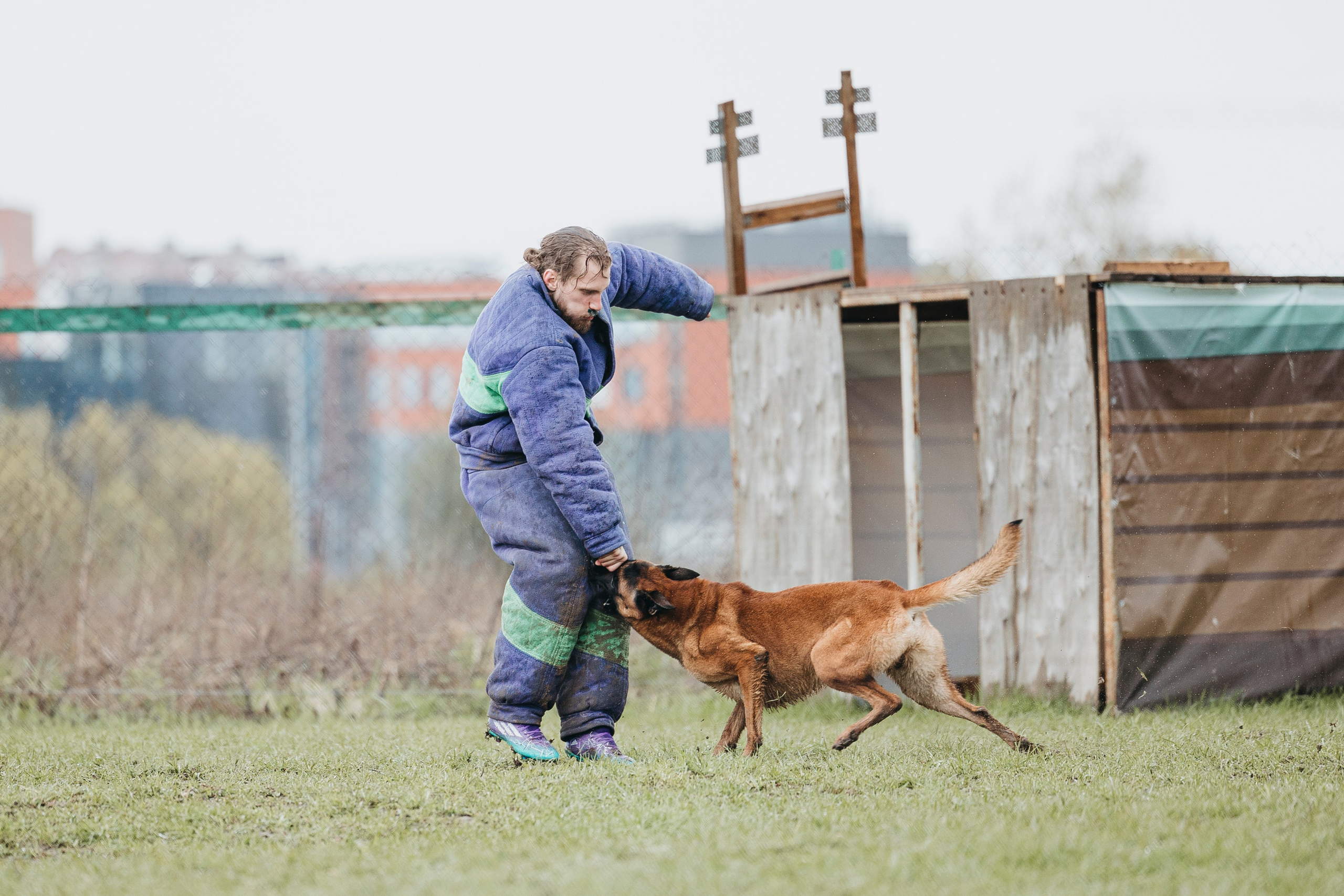 09.05.25 Вологда соревнования. Фотограф-анималист Анна Маринич