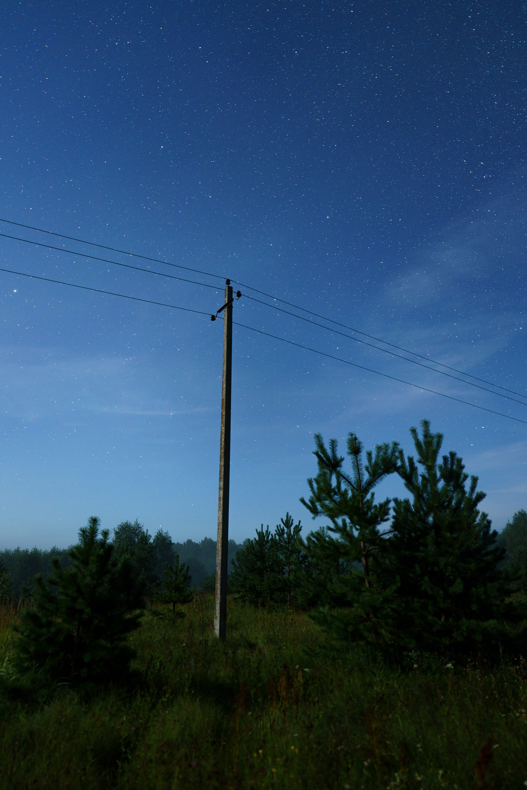 Фотографии Национальный парк Угра. Фотограф спортивные события, недвижимость, турбизнес