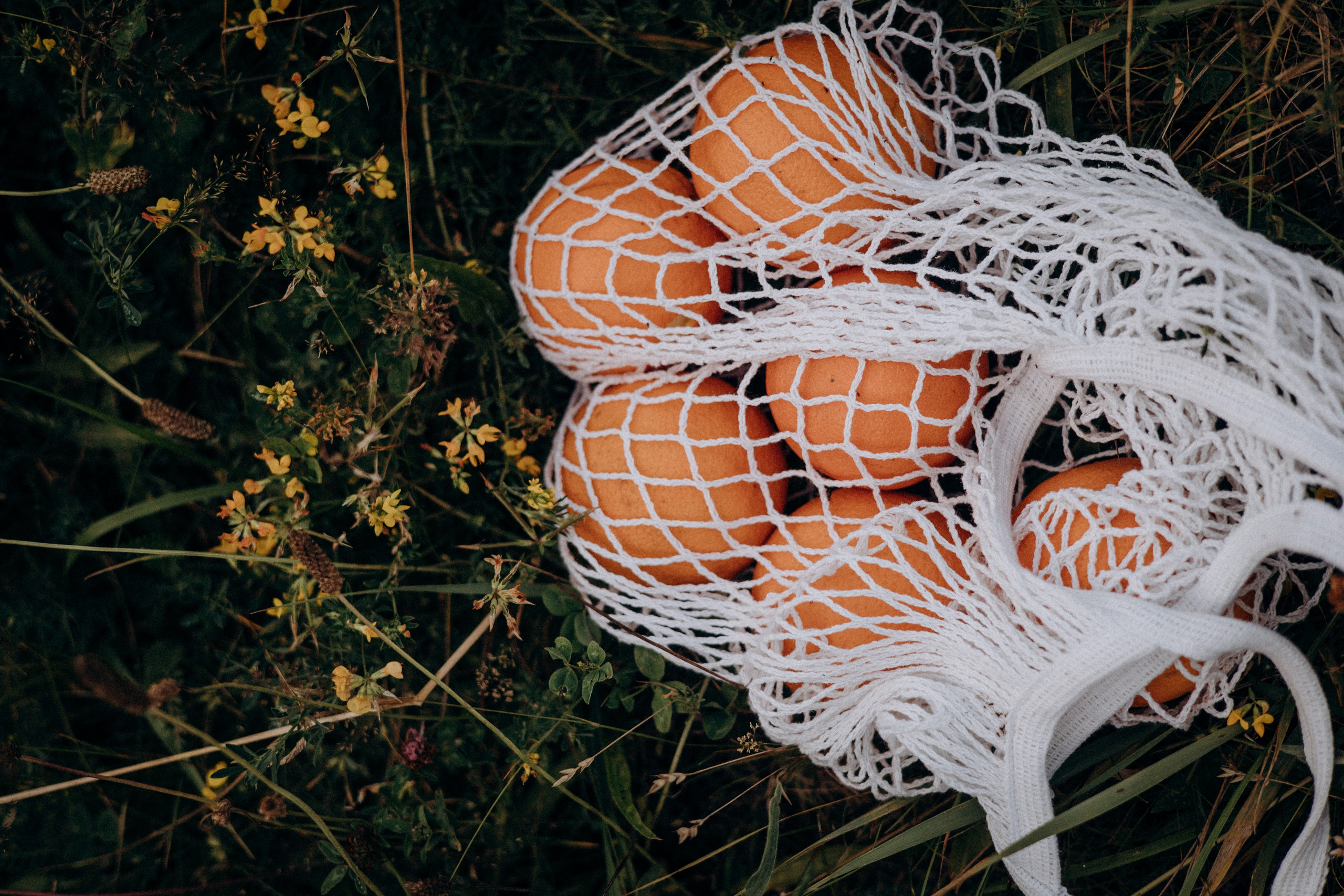 Маша, Антон, Варя, Фея и Вера. Портретный и семейный фотограф в Воронеже Ксения Ремизова