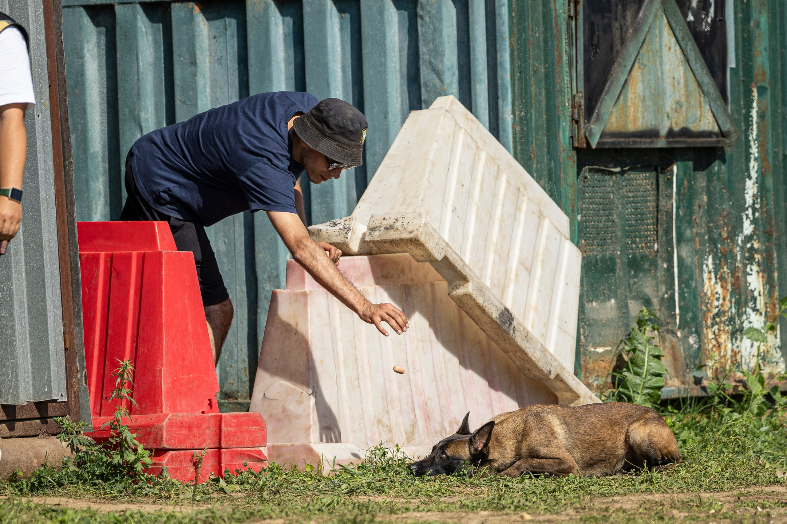Соревнования по Мондьорингу г. Вологда 10-11.08.2024. Фотограф-анималист Анна Маринич