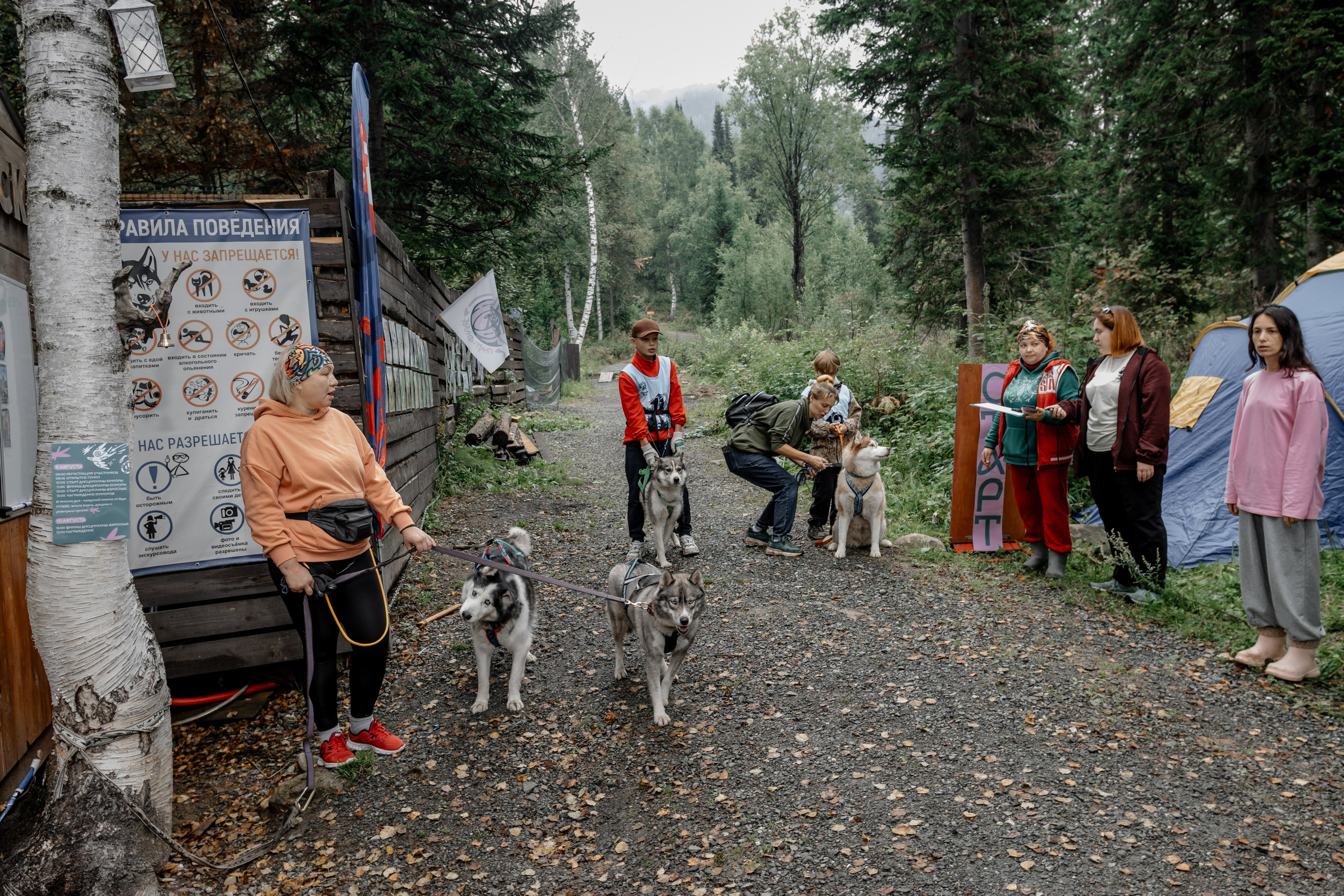 Дог-треккинг