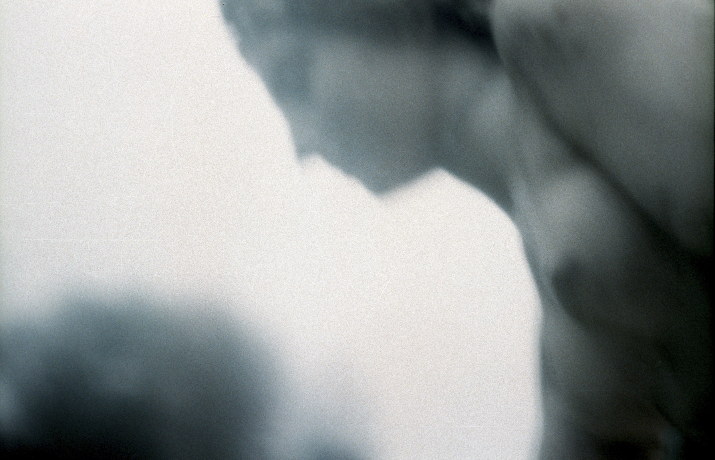 Елена Цихон художник фотографии и мастер фото-ДНК