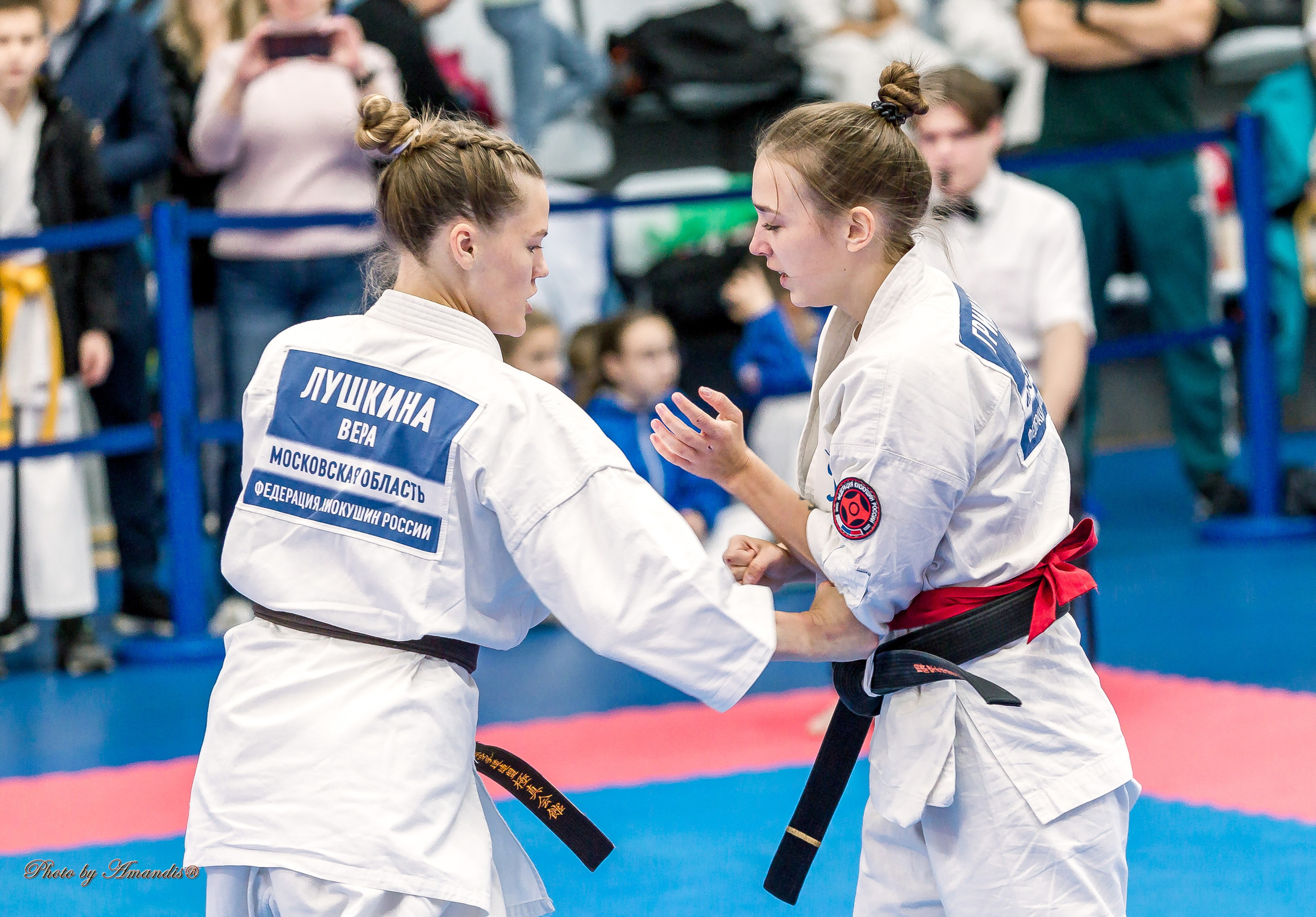 Чемпионат по Киокушинкай Центрального Федерального округа. Репортажная съемка в Москве и области. Анималистика