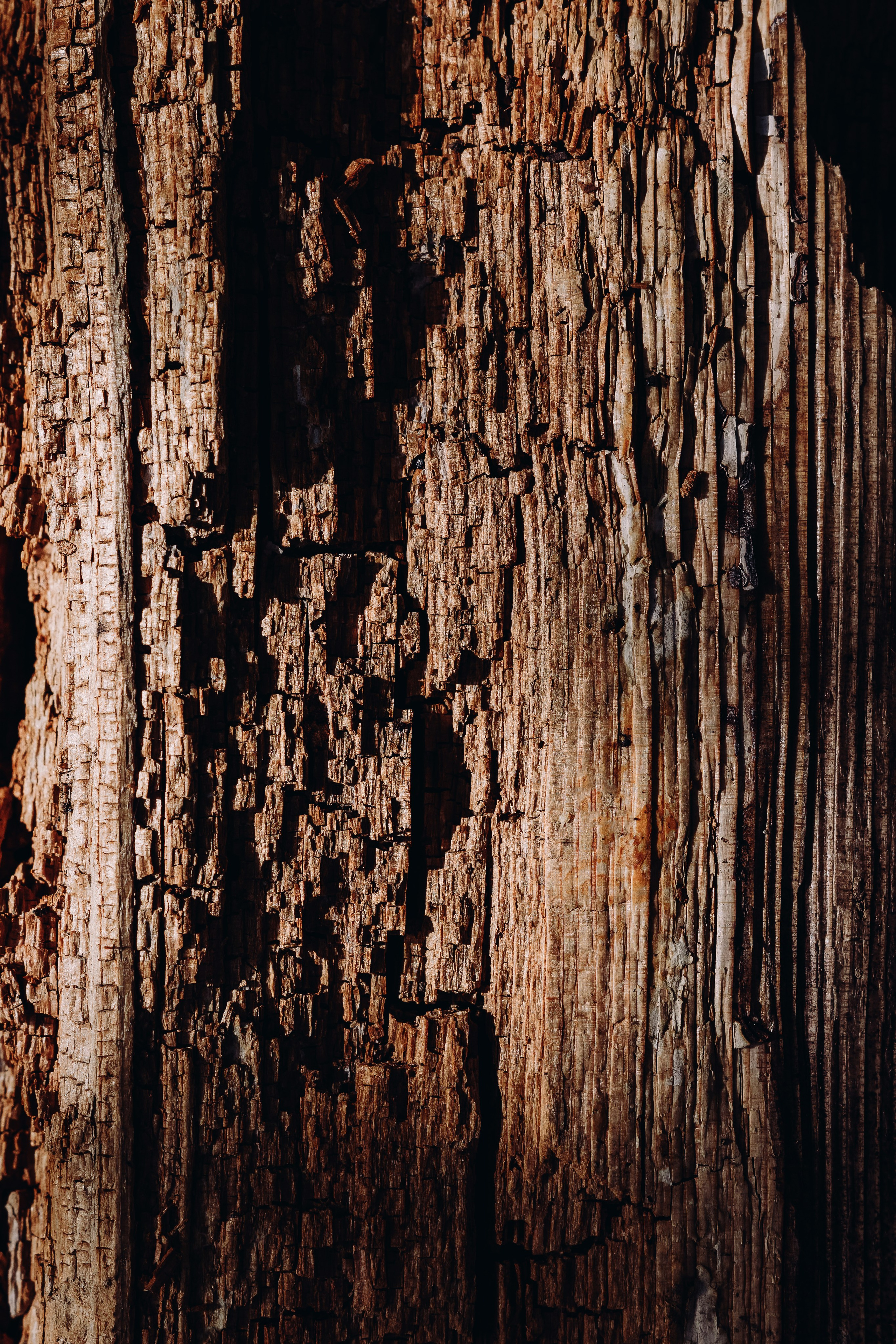 Жизнь. Фотограф Алматы | Весь мир — Никита Колодин