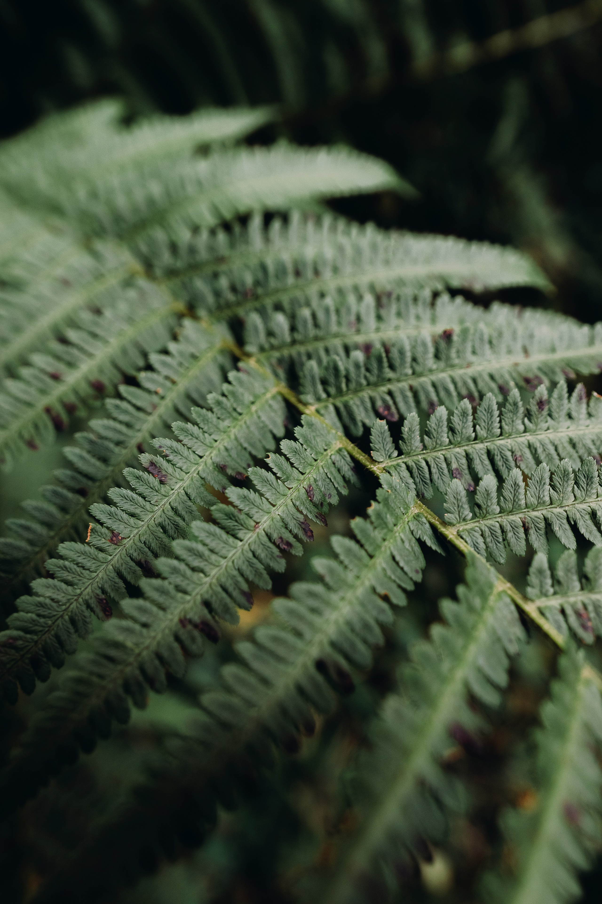 Жизнь. Фотограф Алматы | Весь мир — Никита Колодин