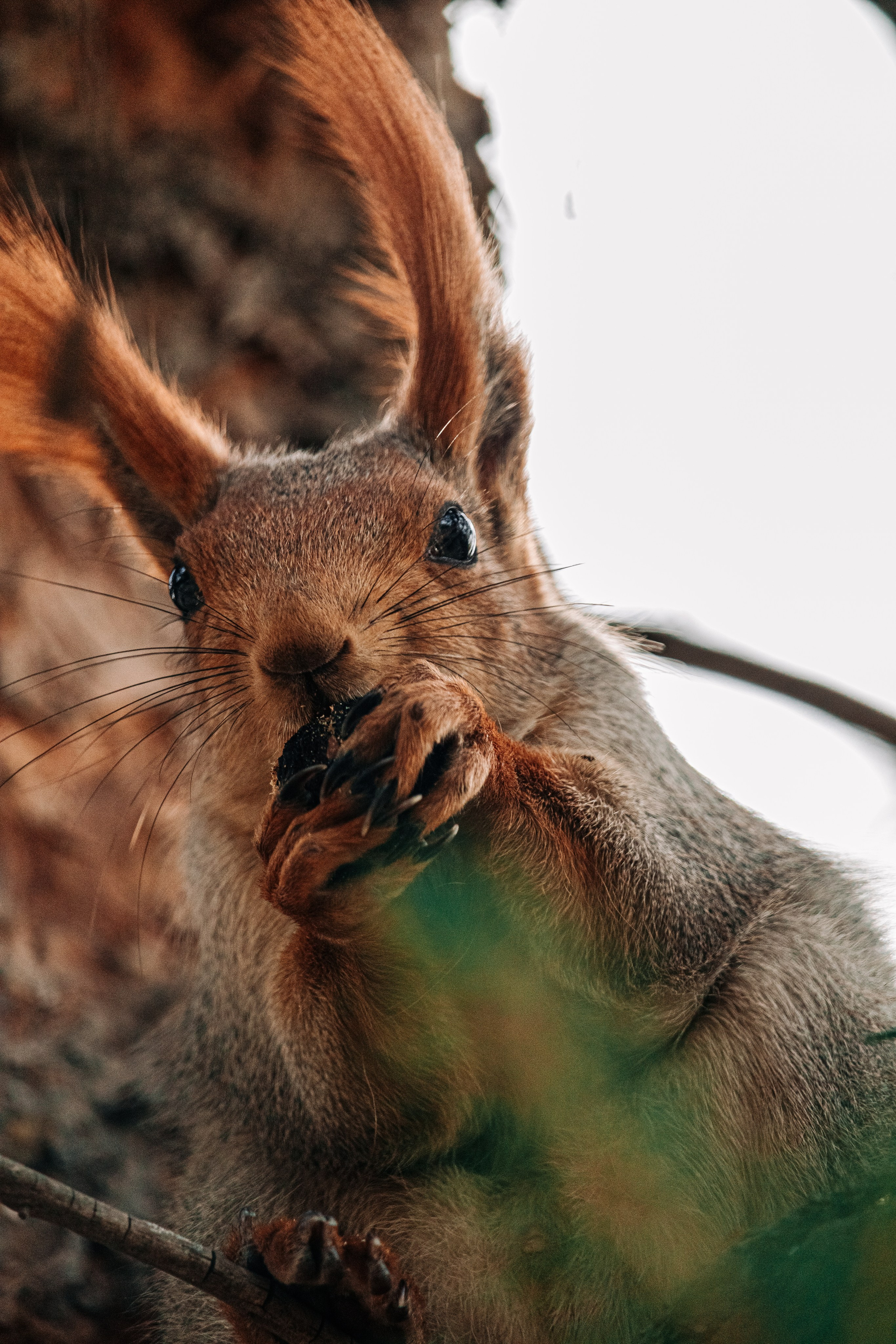 Жизнь. Фотограф Алматы | Весь мир — Никита Колодин