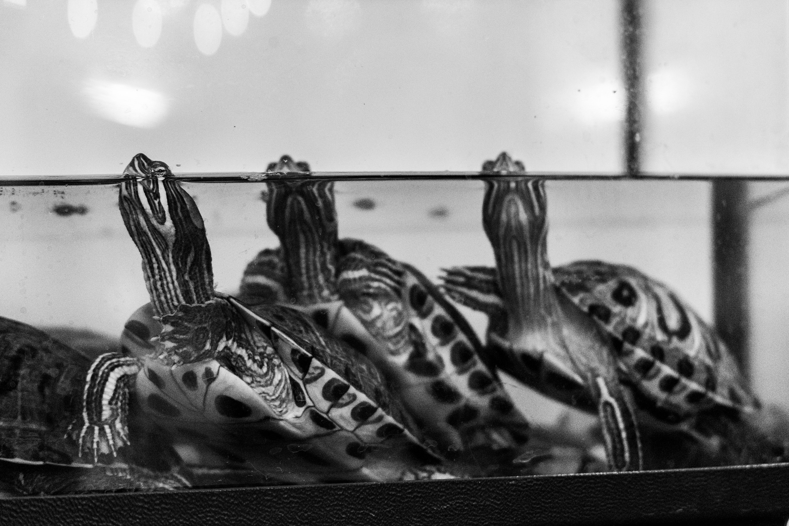 Свадебная фотосессия свадебный фотограф Татьяна Марсуверских свадебная фотопрогулка Москва Жуковский. Фотограф для маркетплейсов, фотоуслуги в Жуковском Татьяна Марсуверских