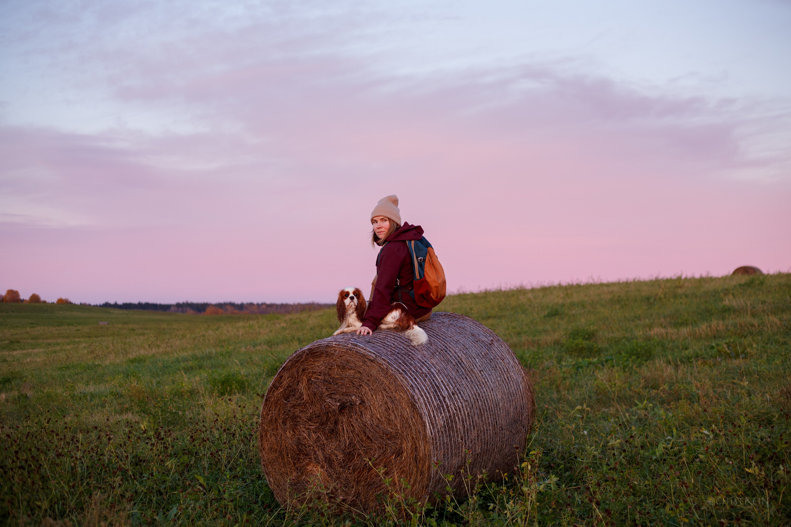 Октябрьский закат в полях. Алина и Лео. Фотограф-анималист Наталия Чистюхина в г. Сосновый Бор и ЛО