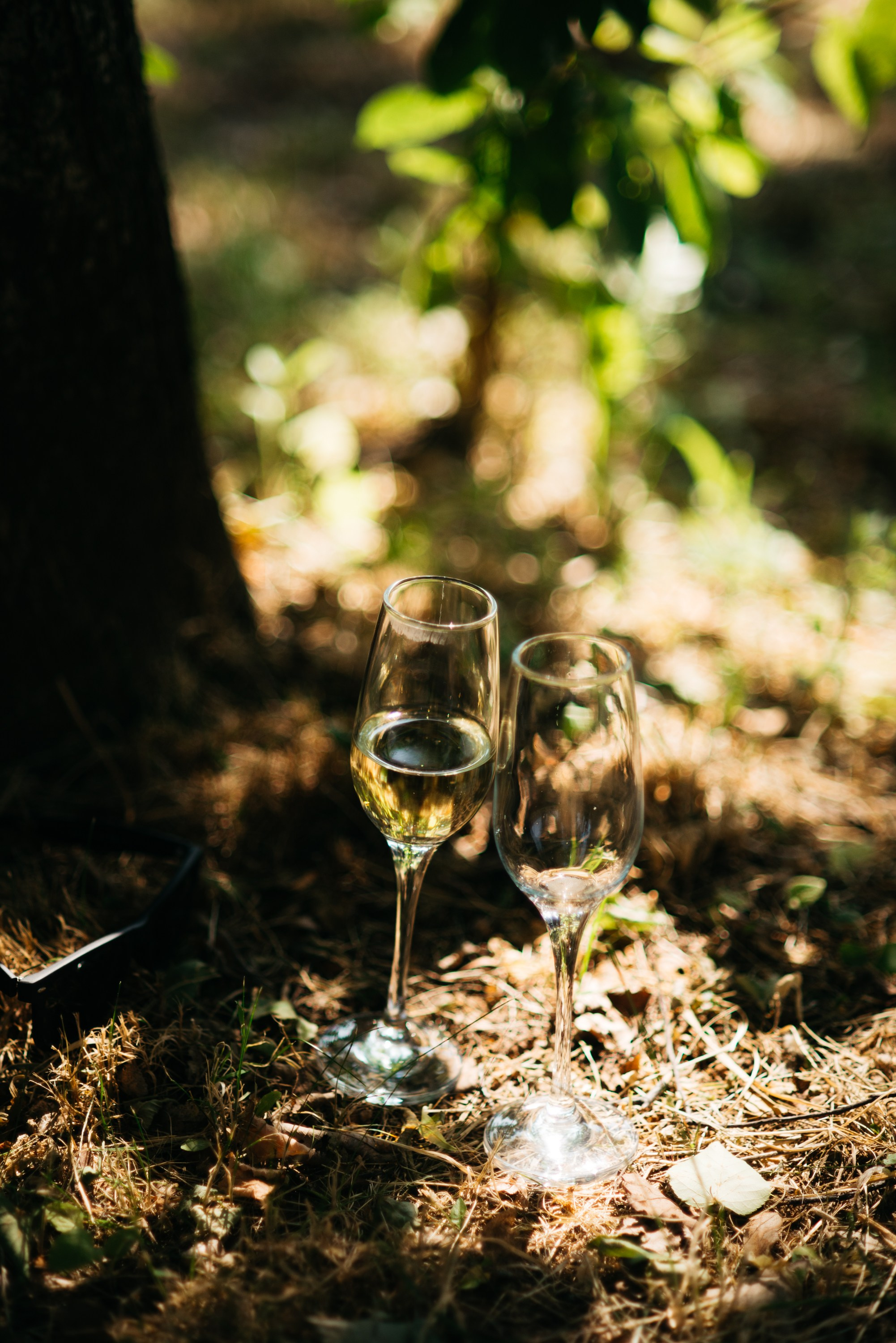 Wolki&Lipki. Свадебный фотограф Ижевск Петр Шишков