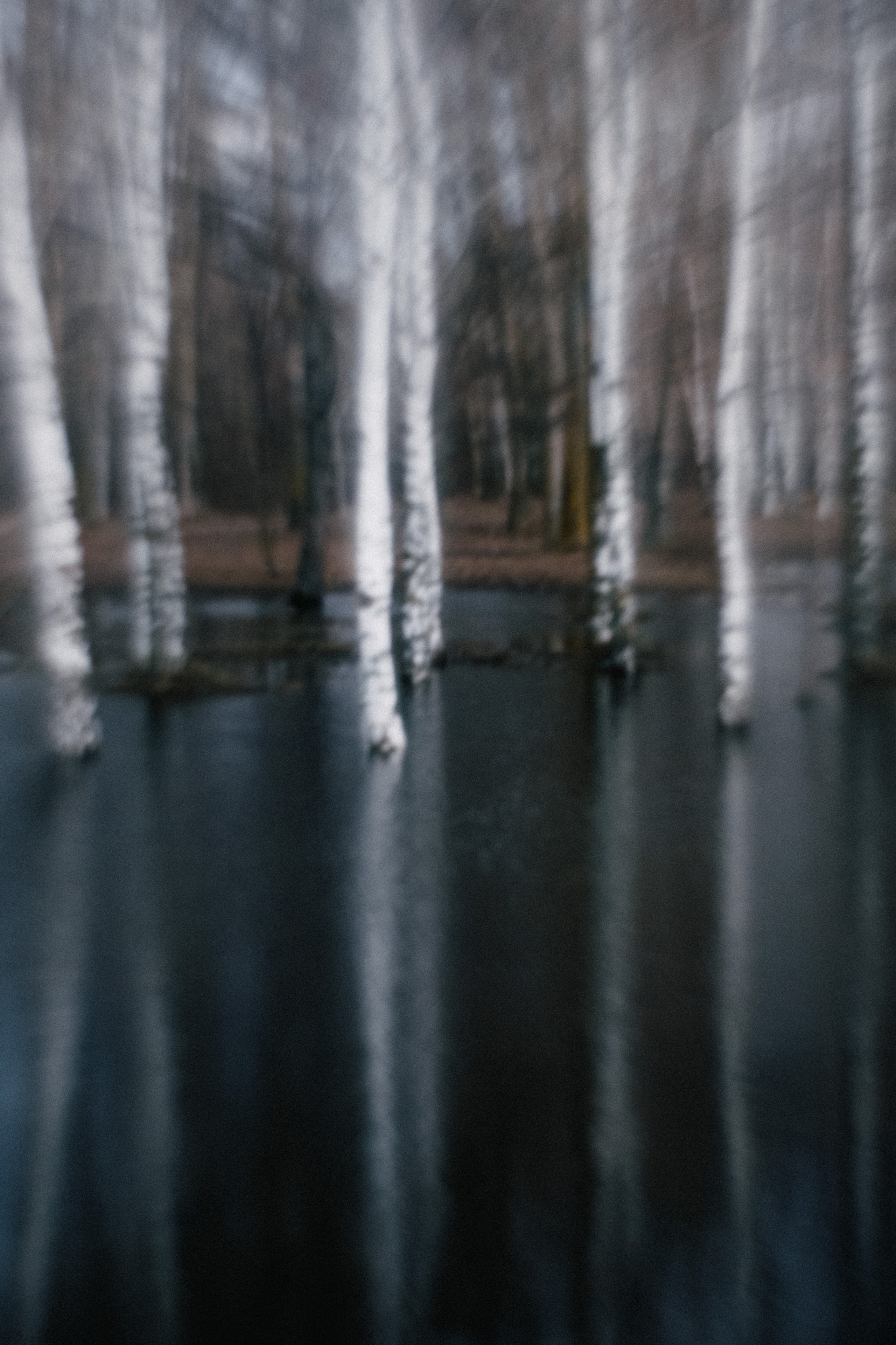 Andrew Sozonov visual artist