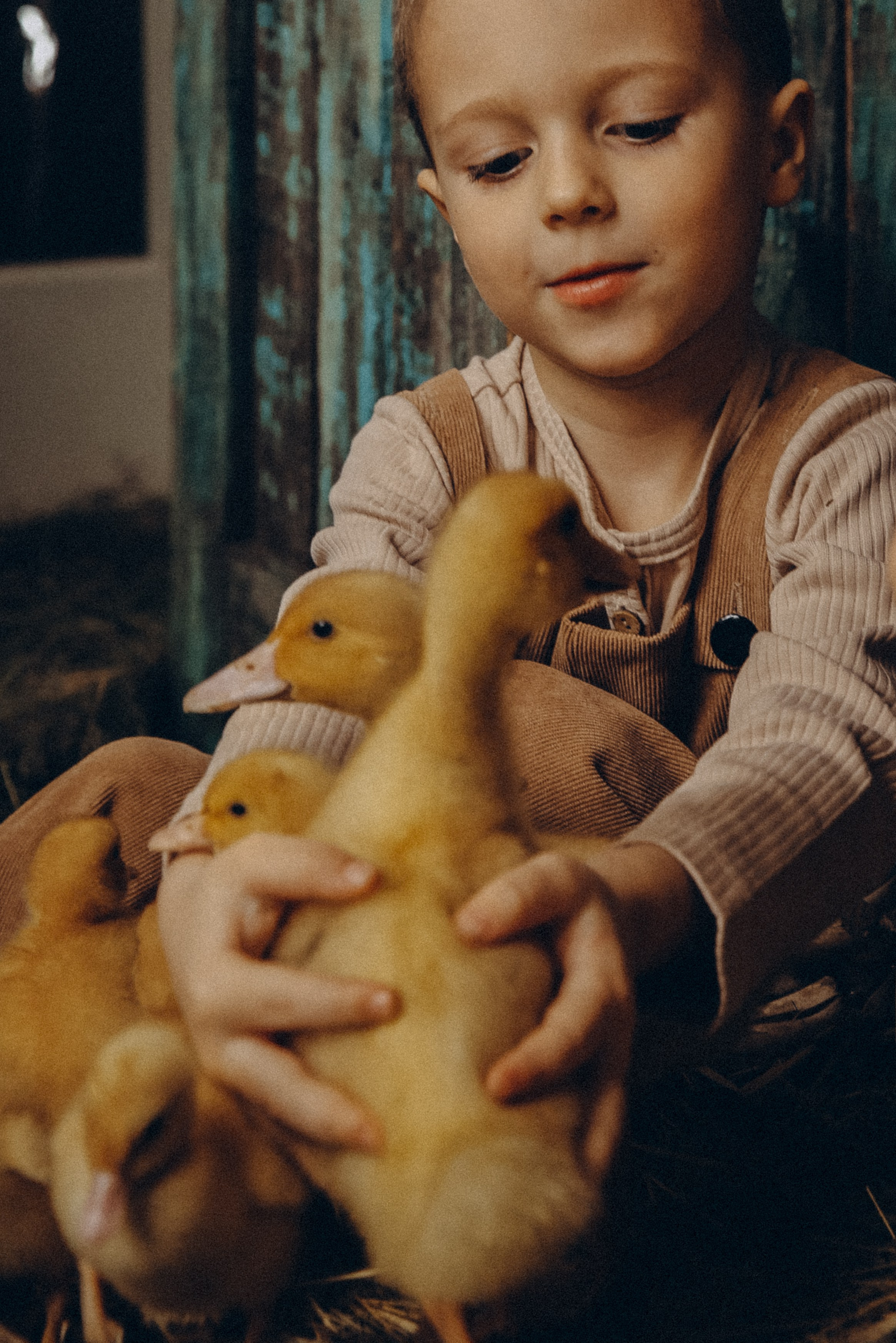 Утиное счастье. Я Лена — семейный фотограф в стиле Лайф Москва и Подмосковья: Балашиха, Пушкино, Щелково, Домодедово, Дмитров. Я за эмоции и любовь