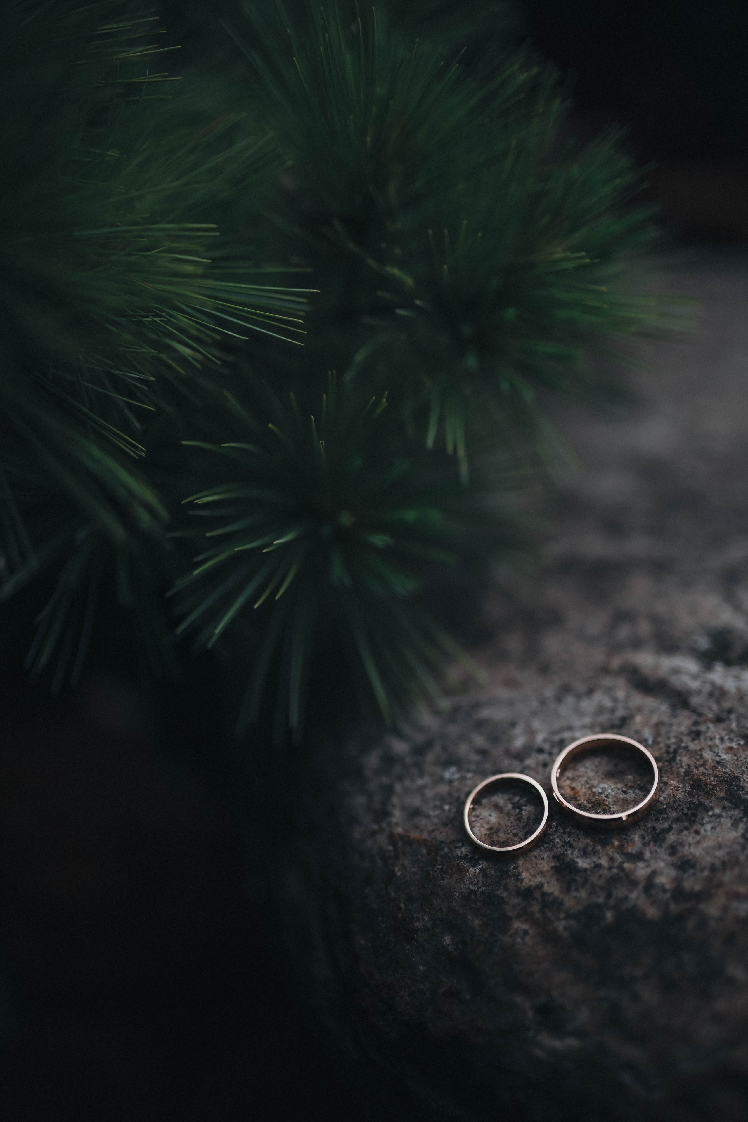 Николай и Алина. Фотограф во Владимире Яна Чубич