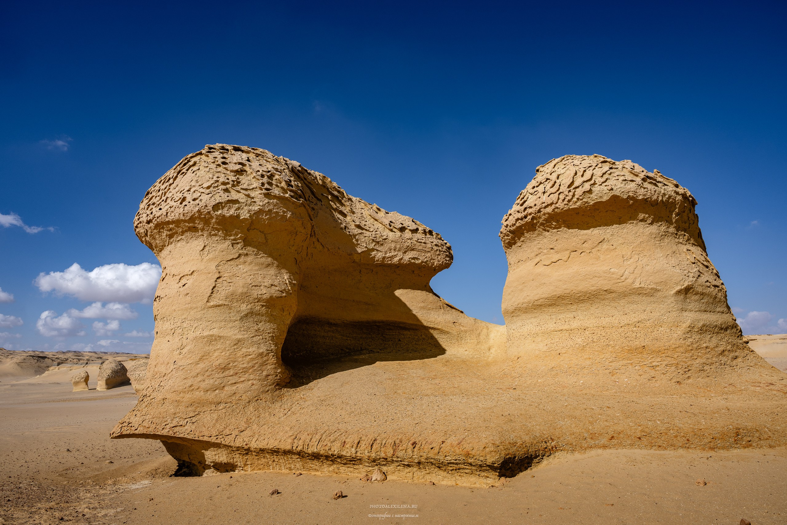 Снова в пустыню, за скелетами…. Авторские стильные фотокартины