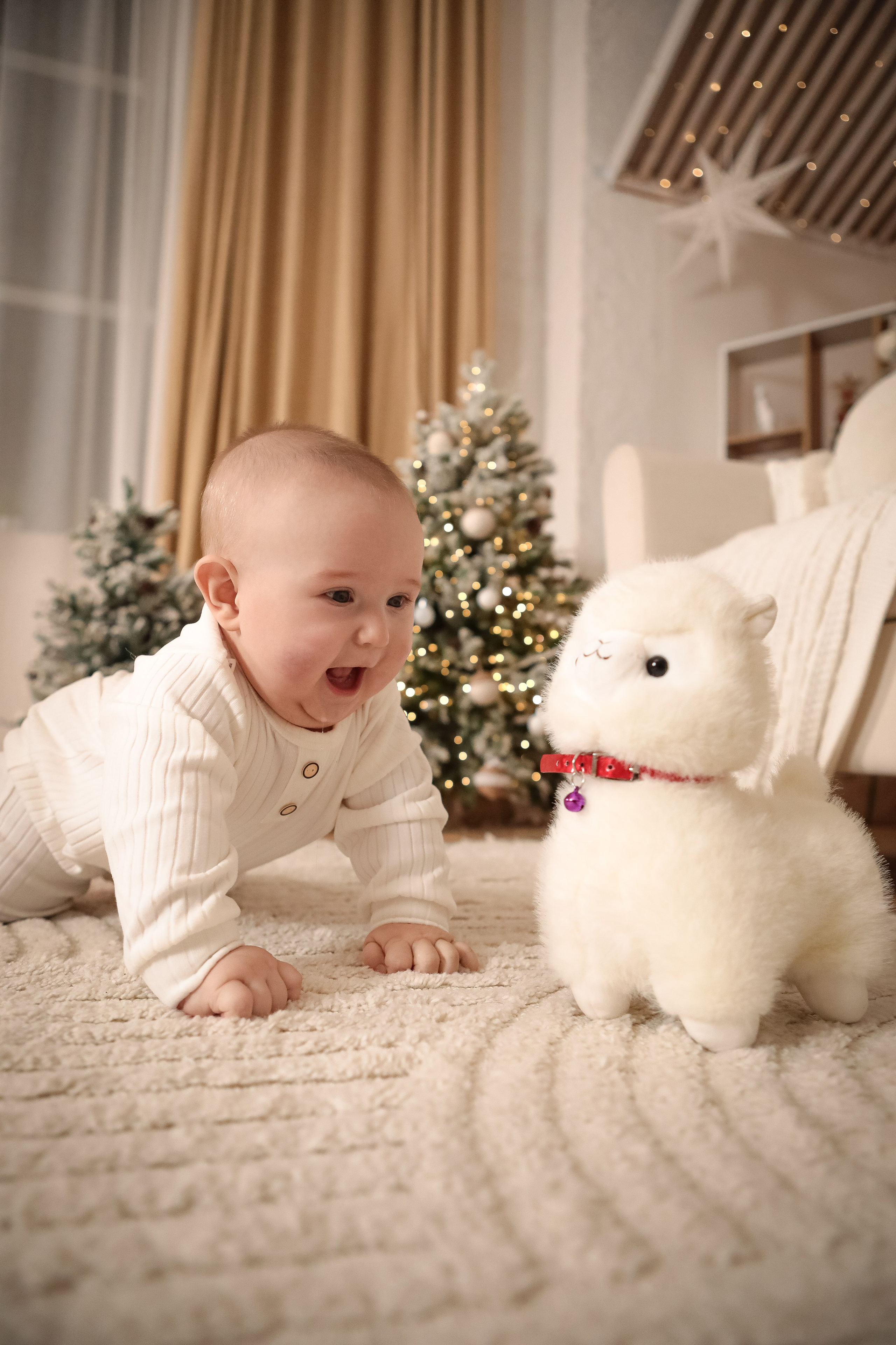 НОВОГОДНИЕ ФОТОСЕССИИ 2025-2026. Фотограф г. Хабаровск. Семейные и индивидуальные съёмки