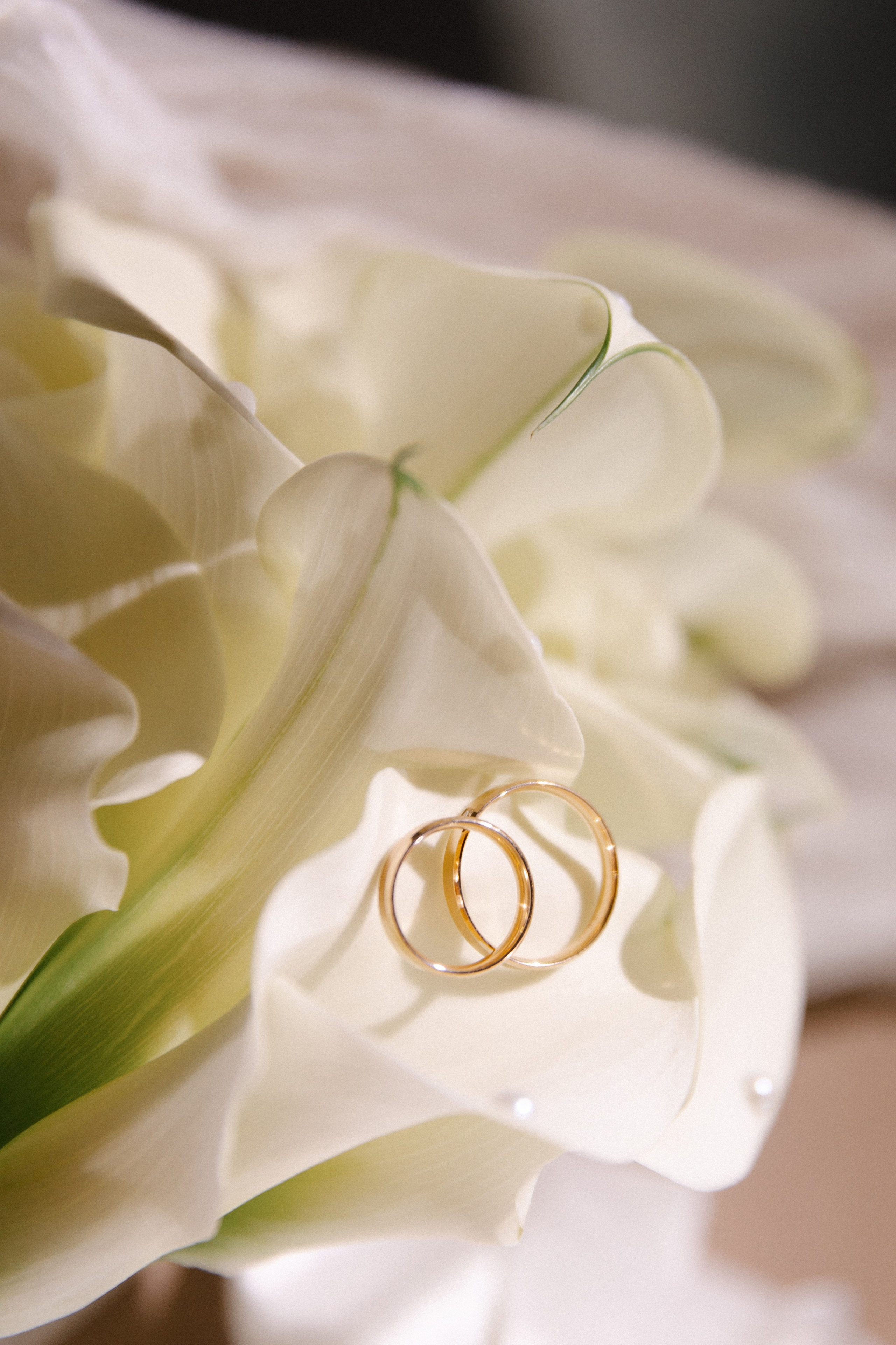 Д & А. Фотограф Тверь Москва Елизавета Рапутина