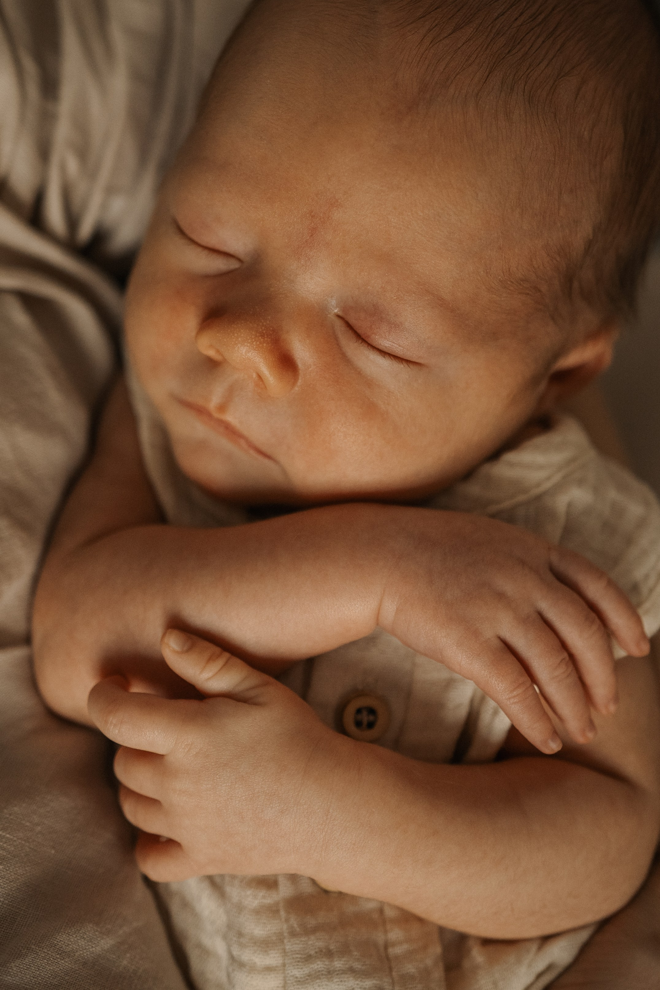 Лев. Гаврилова Настя семейный фотограф lifestyle в Москве