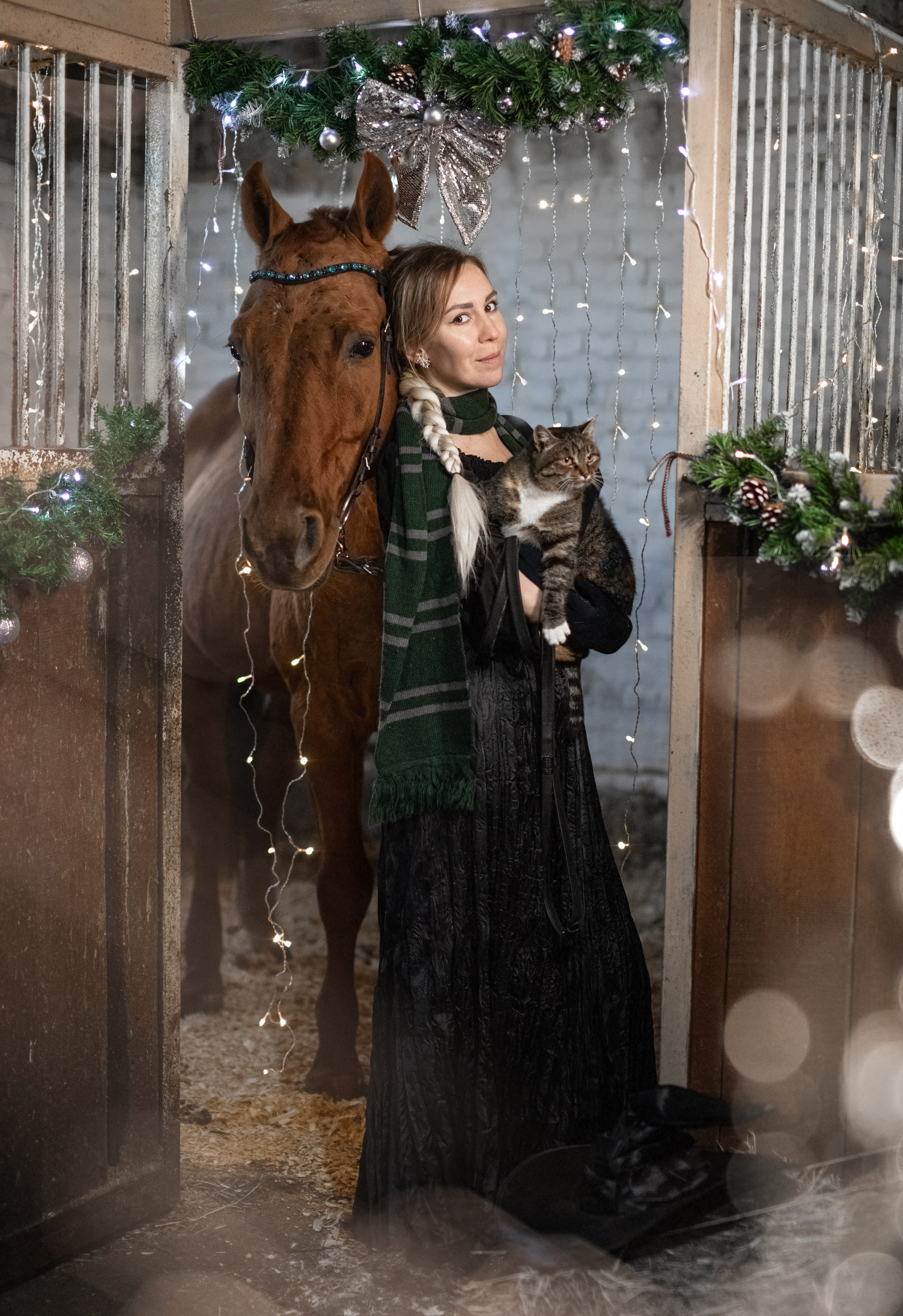 Человек и Лошадь. Главная