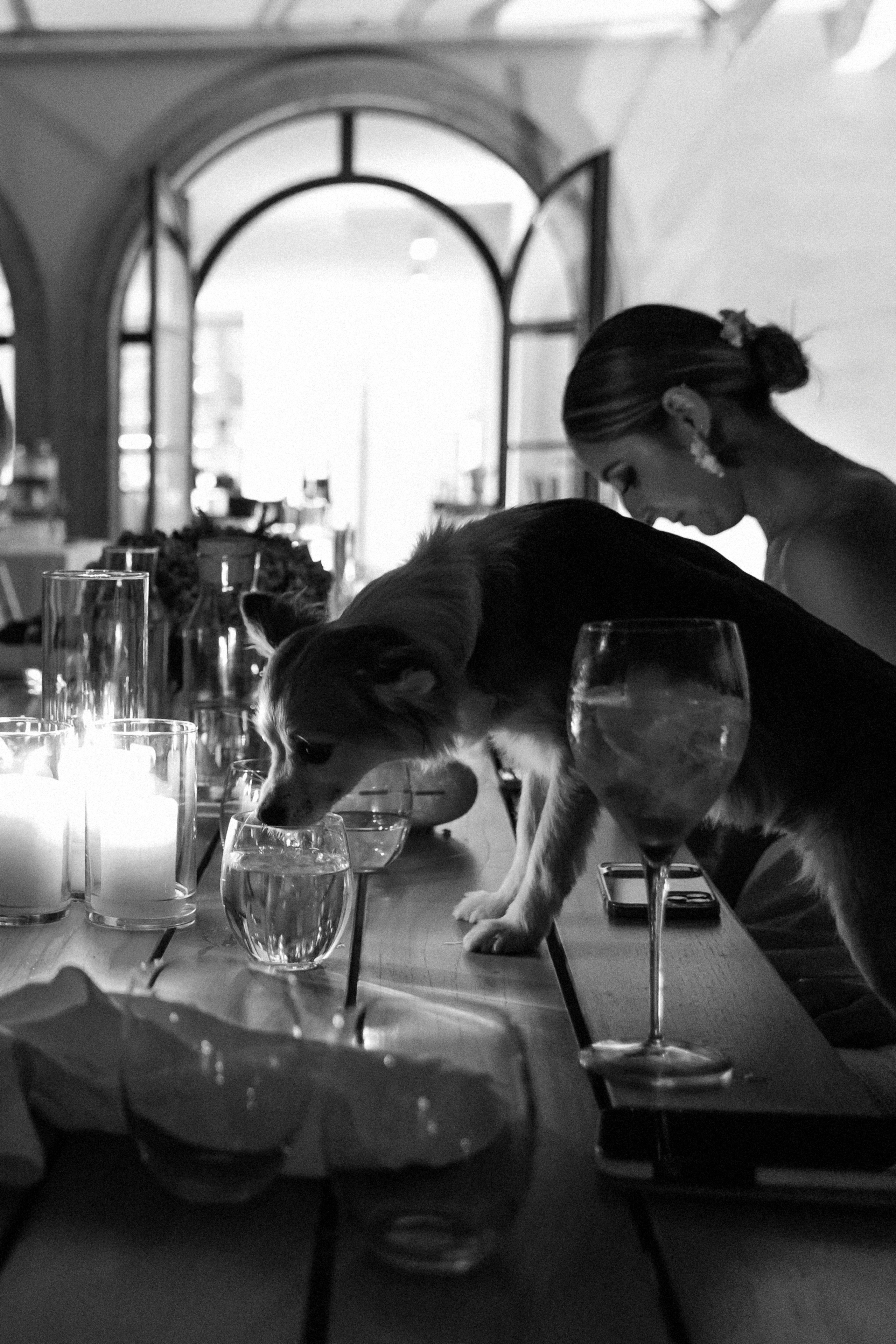 Milana&Daniel.Wedding in Como. Любовь Чуляева — свадебный фотограф в Москве и Европе