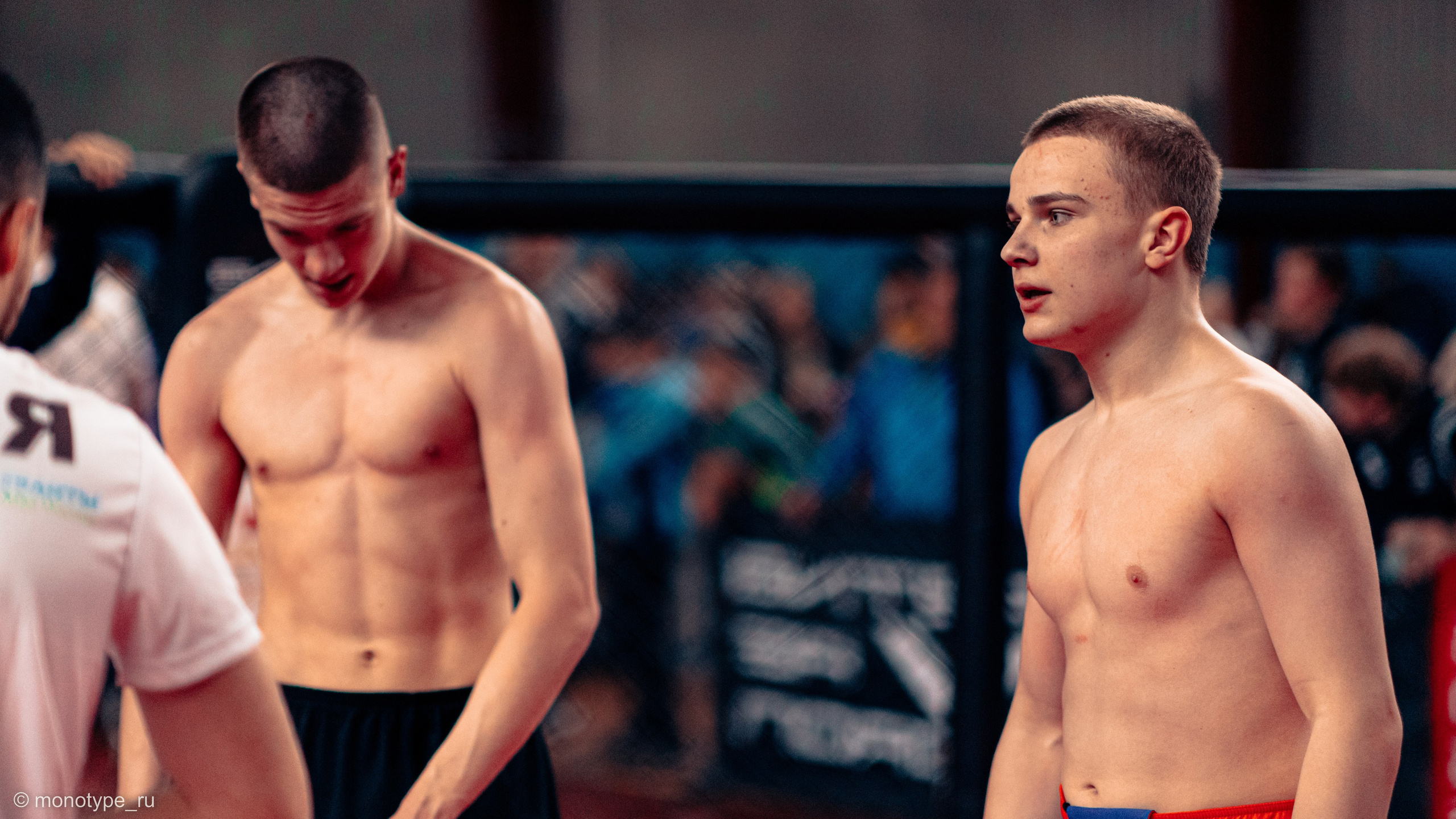 MMA. Бойцовский турнир