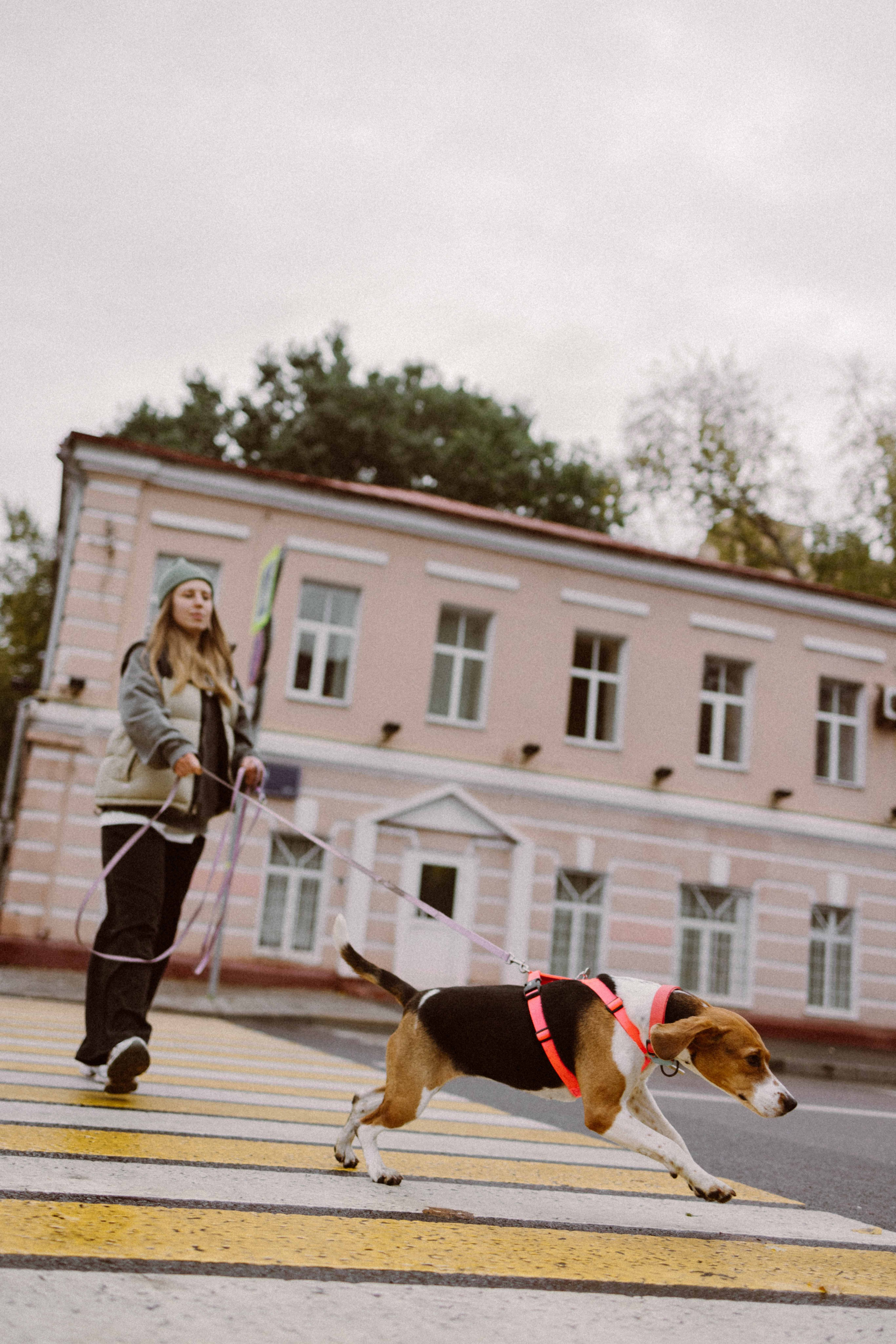 Света и Ива. Фотограф-анималист в Москве Лера Черноног