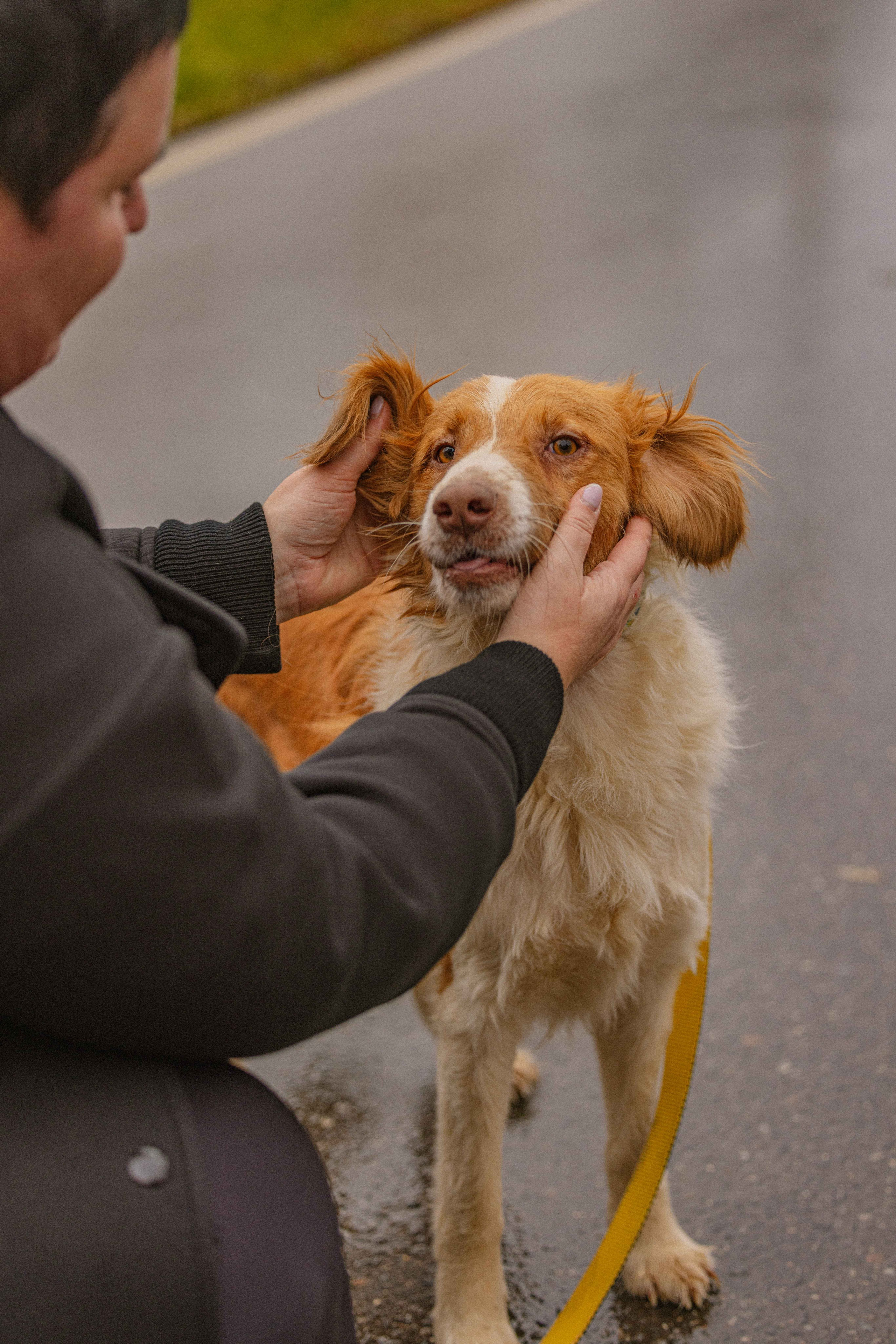 Передержка. Фотограф-анималист в Москве Лера Черноног