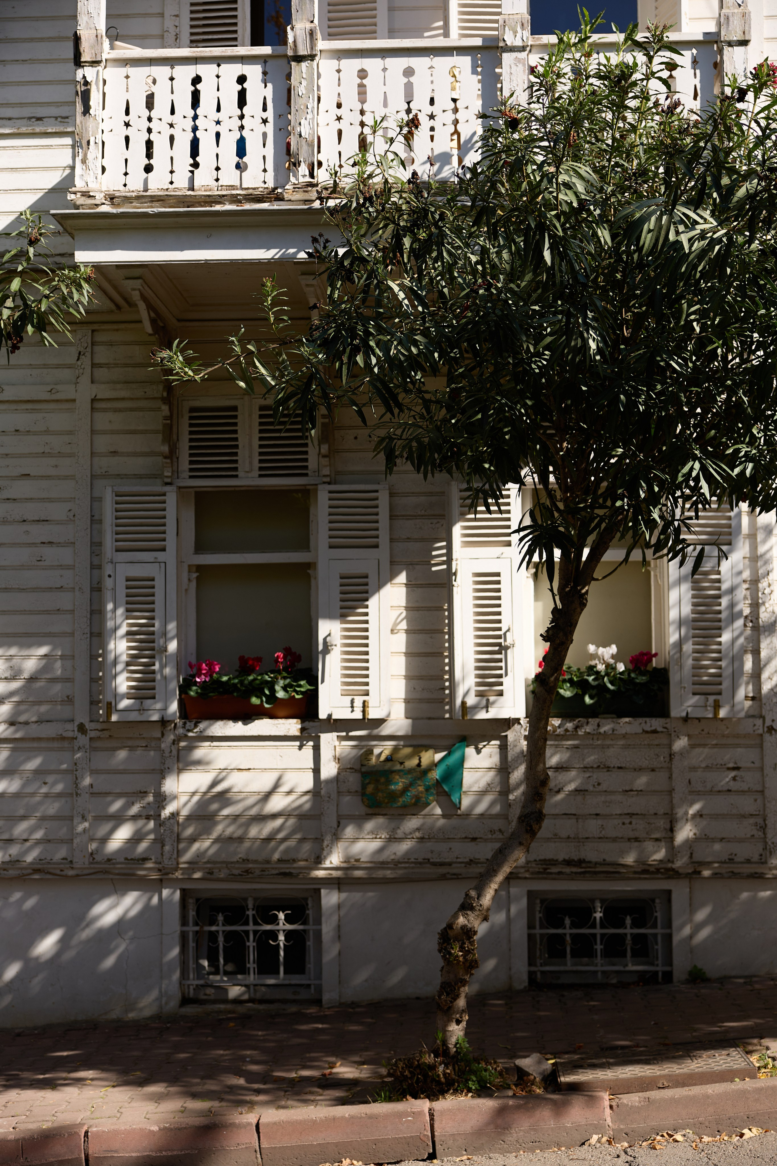 Стамбул 24. Фотограф Москва, Дима Пеллер