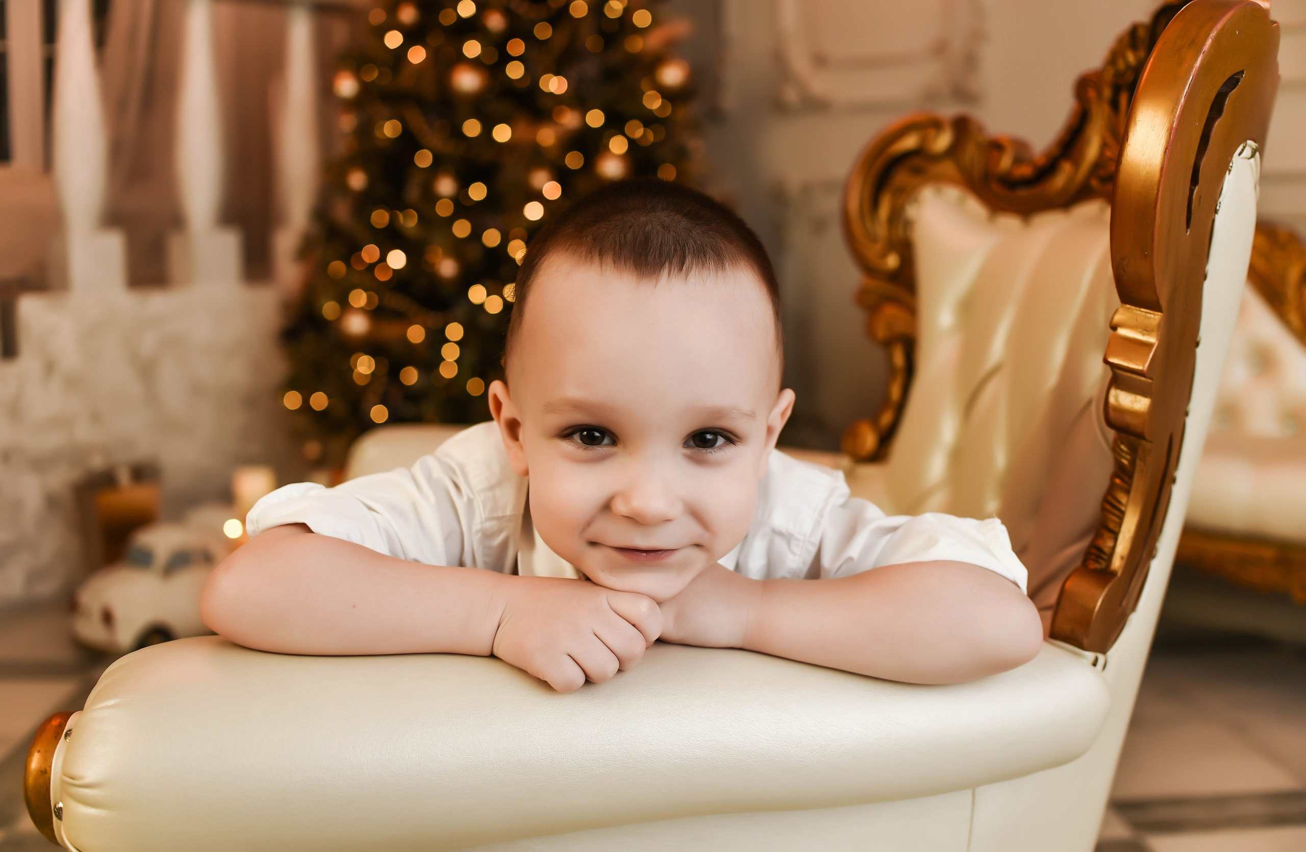 Новогодняя. Свадебный, семейный, детский, контент фотограф в Омске Максим Ильин